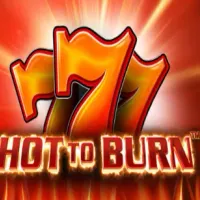 Hot to Burn logo