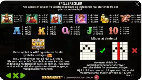 Wild-symboler, bonusfunktioner og gratis spins