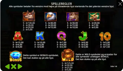 Wild-symboler, bonusrunder og free spins