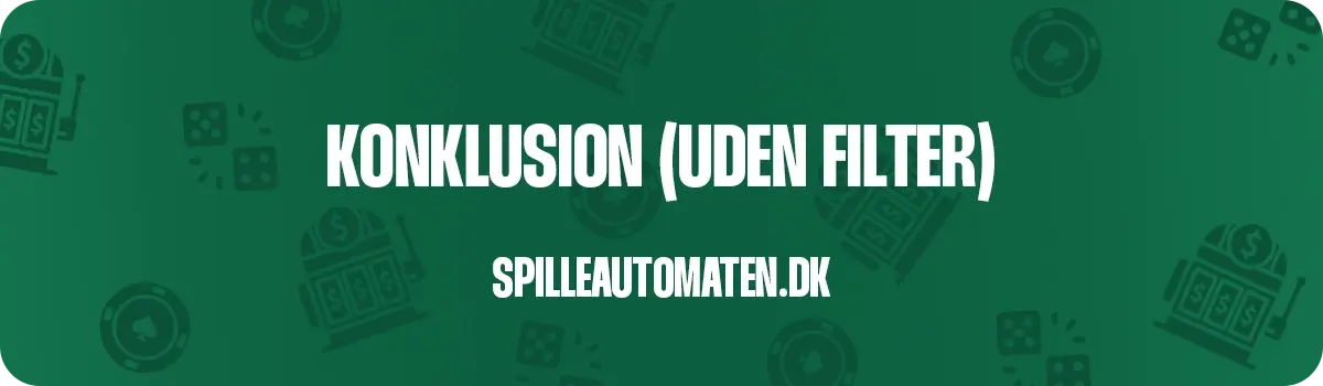 Slotsguiden.dk vurdering af spilleautomaten.dk