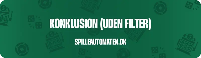 Slotsguiden.dk vurdering af spilleautomaten.dk
