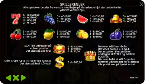 Funktioner: Wilds, scatters og bonusfunktioner