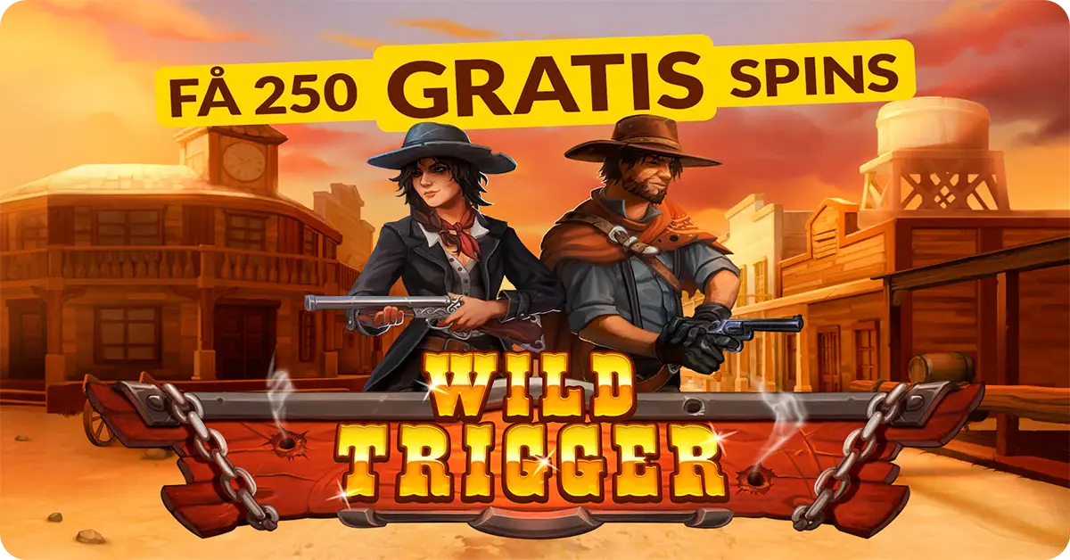 VinderCasino free spins kampagne