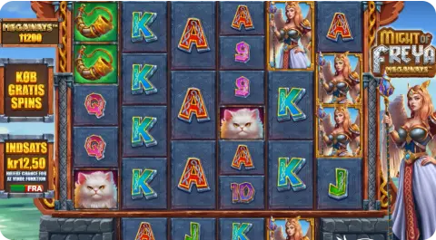 Grafik, lyd og animationer: Med Freja i front