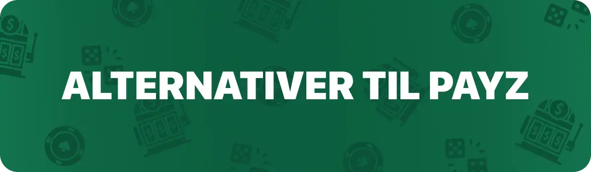 Alternative betalingsmetoder til PayZ