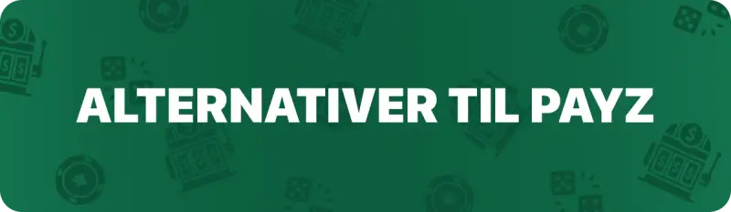 Alternative betalingsmetoder til PayZ