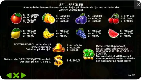 Ekstra symboler og funktioner – Wilds og scatter betaler
