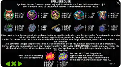 Wilds, free spins og bonusfunktioner
