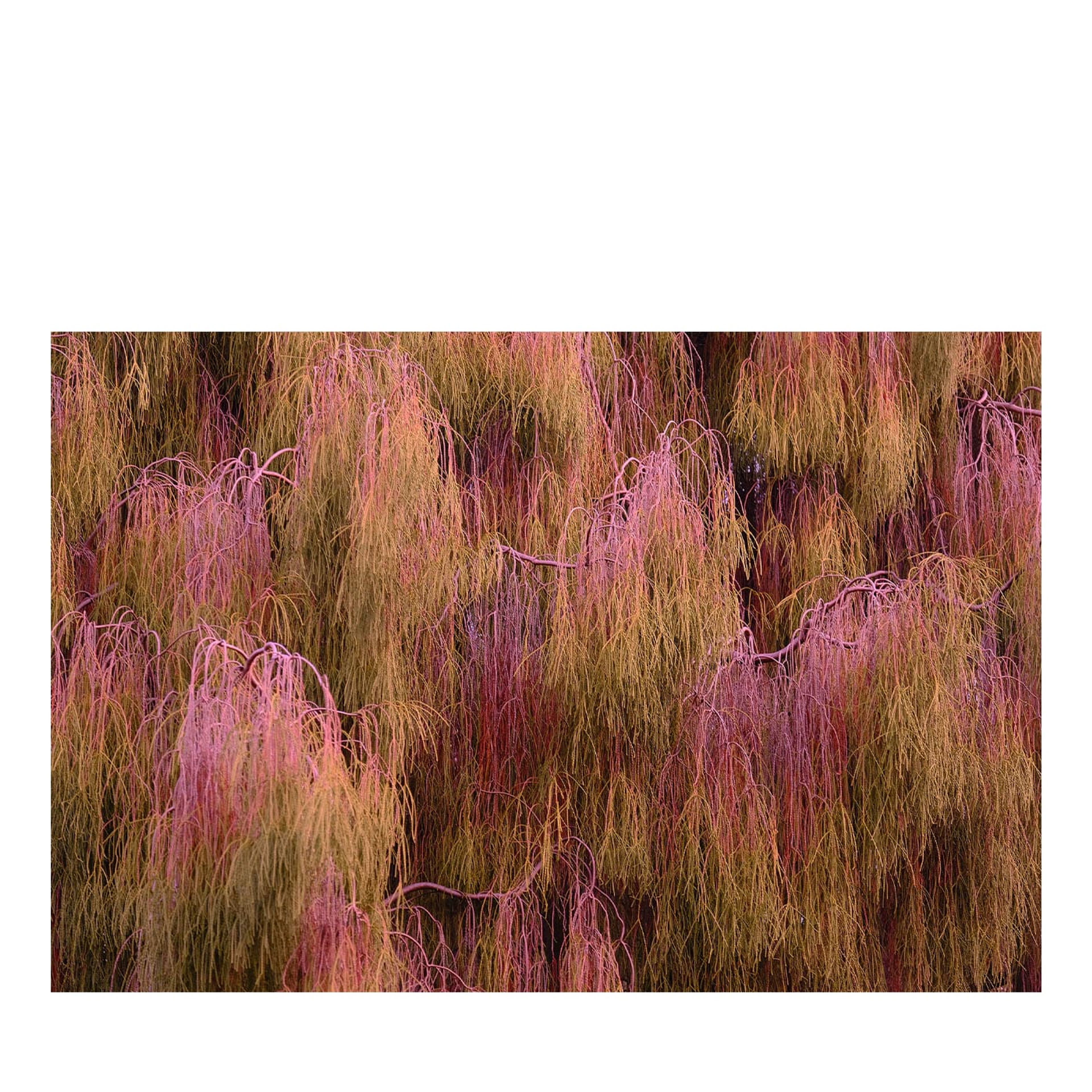 Documentary & Travel thumbnail