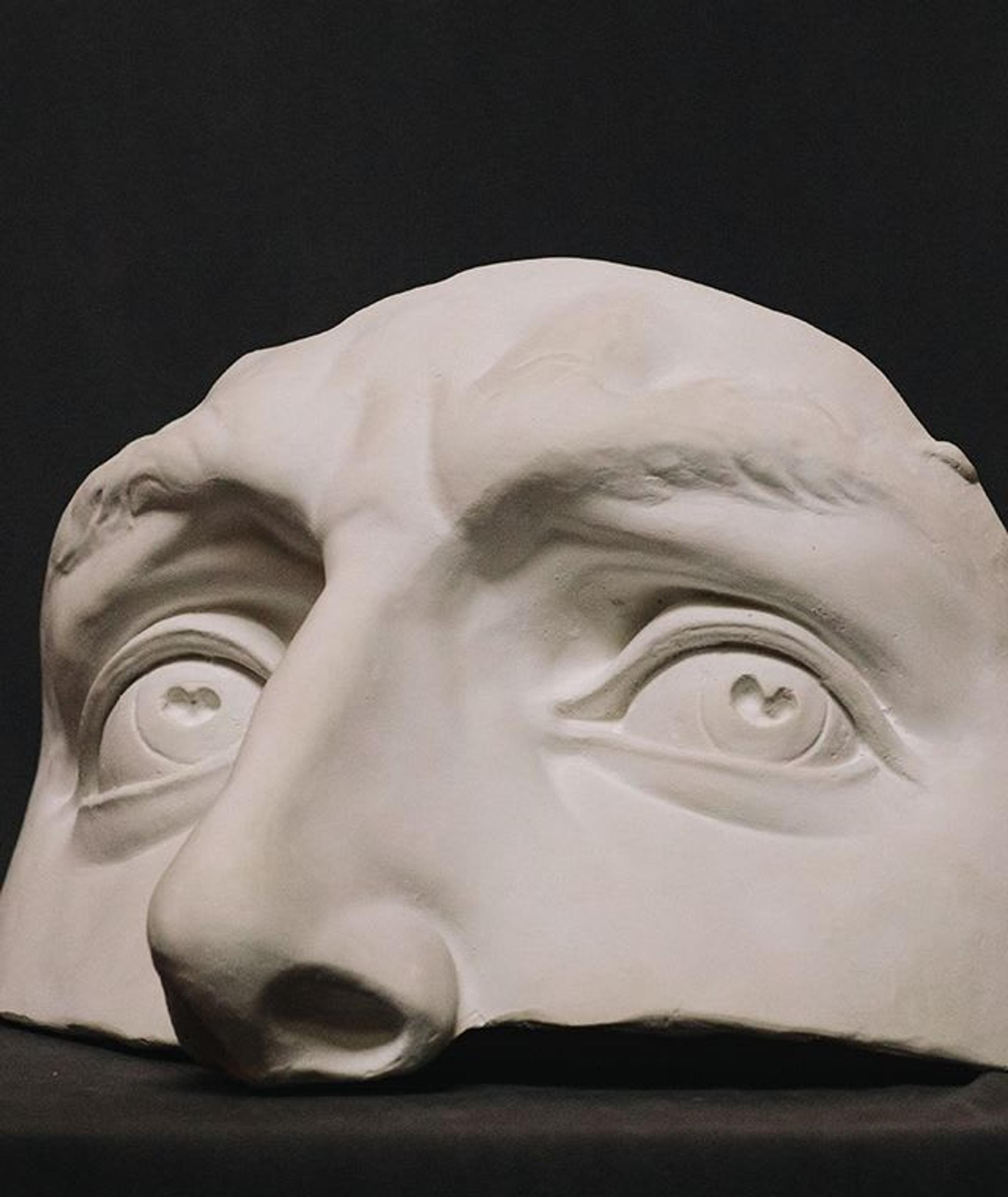 Occhi David Scultura in gesso della Galleria Romanelli