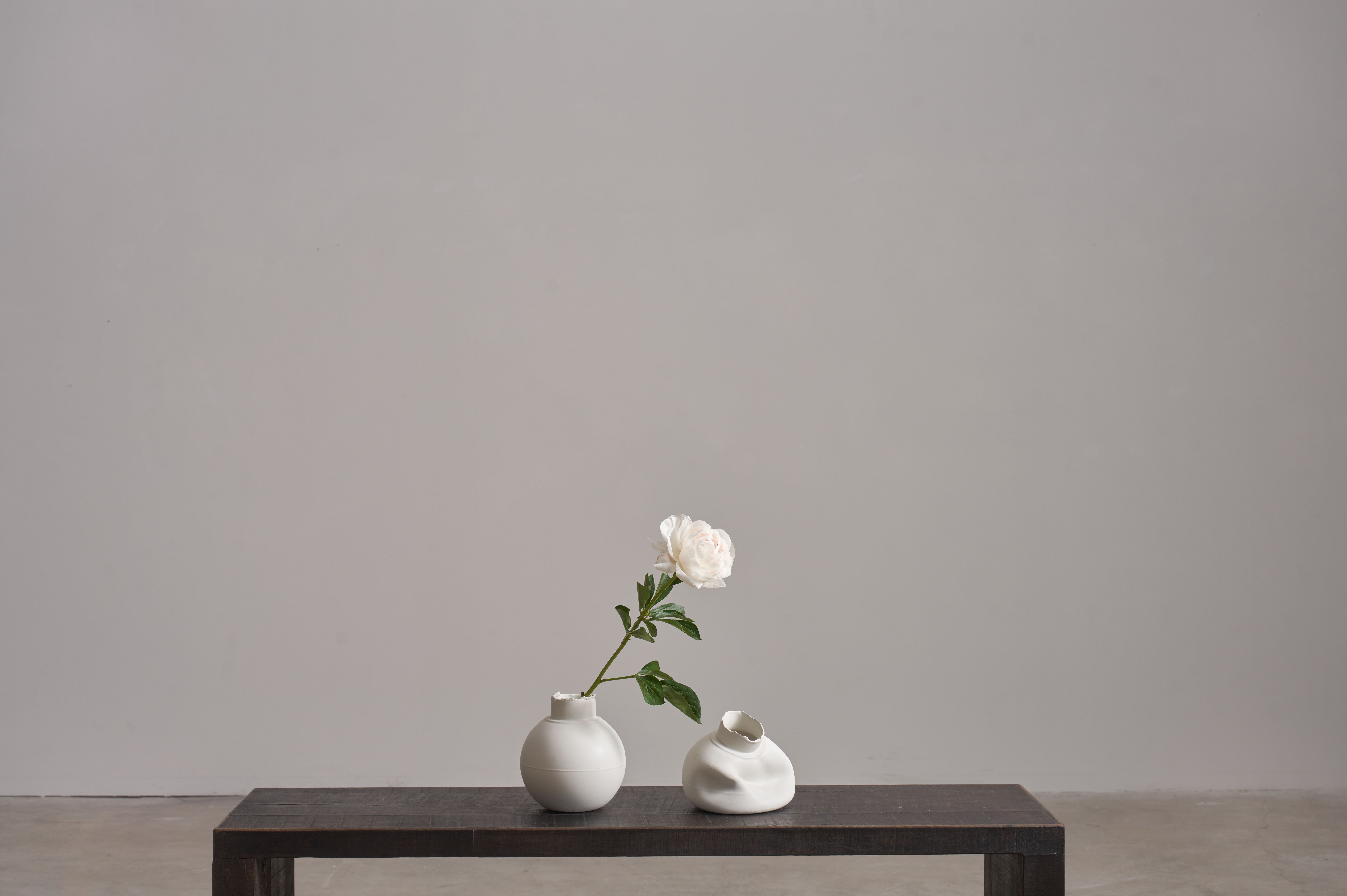 Jenna Basso Pietrobon