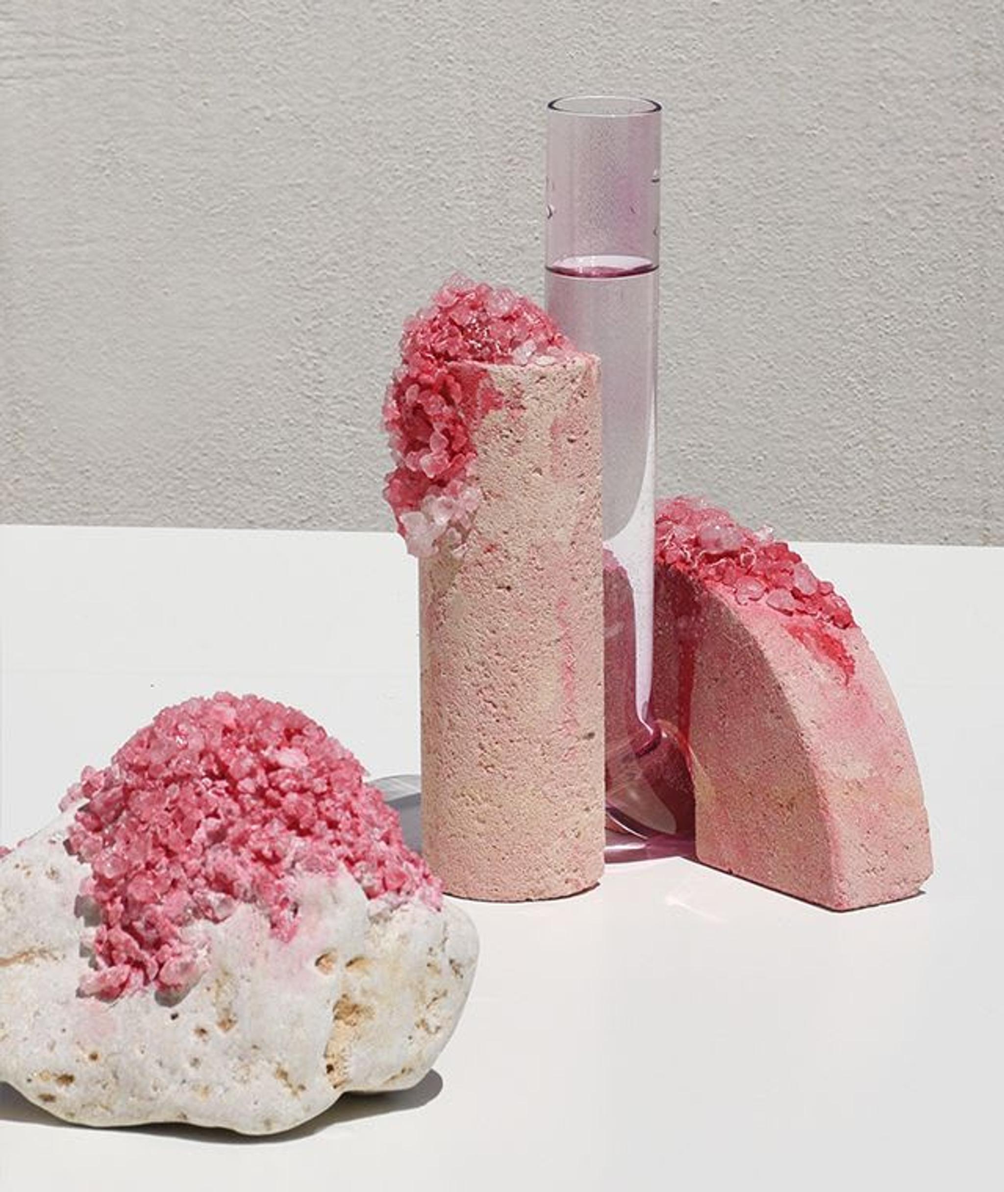 Cochela Della Metamorfosi 2 Spring - Pink Vase by Coki