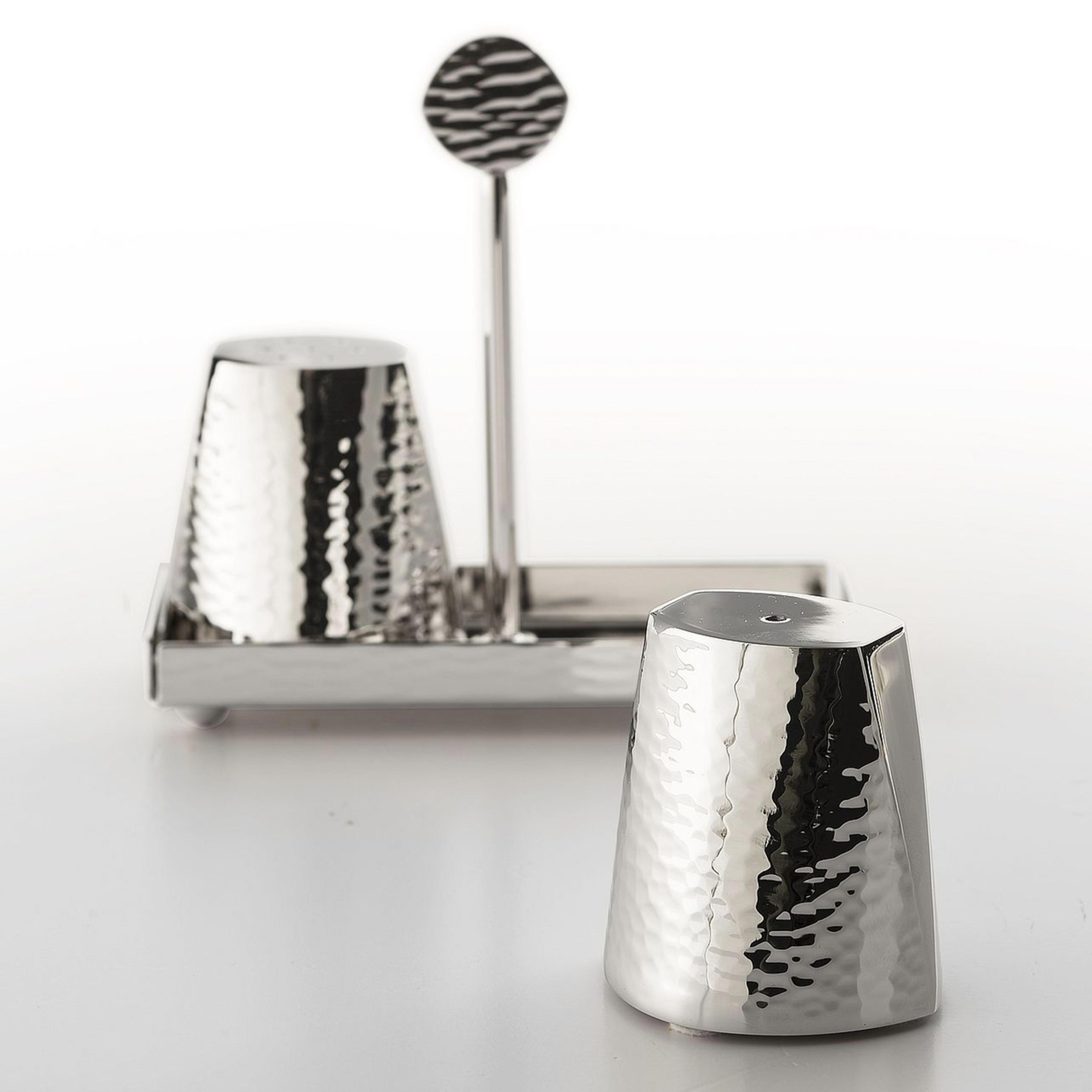 Metallic Salt & Pepper Shakers