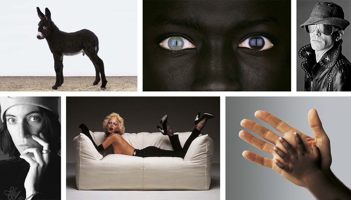 Oliviero Toscani: Humanity Revealed | Artemest