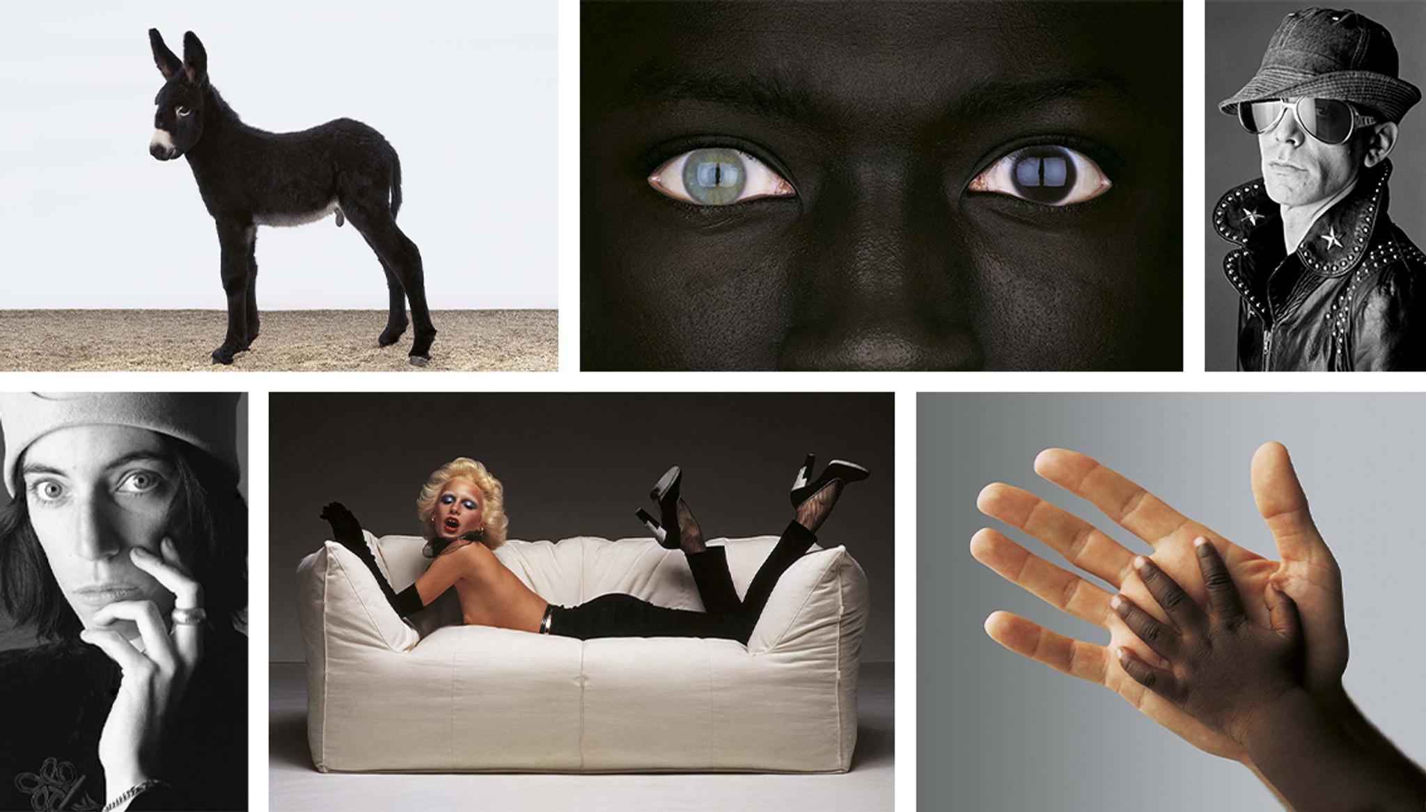 Oliviero Toscani : Humanité Révélée | Artemest