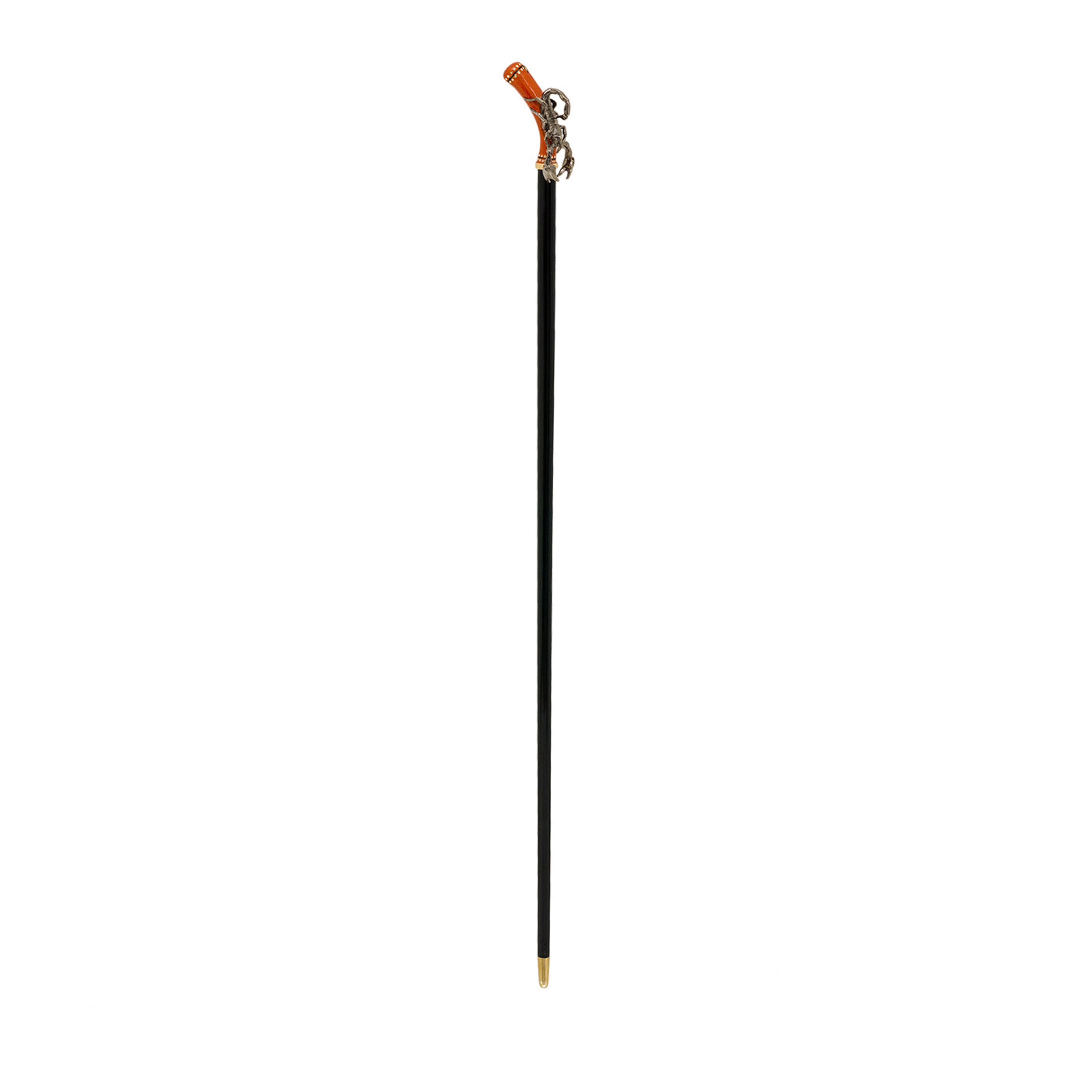 Walking Sticks thumbnail