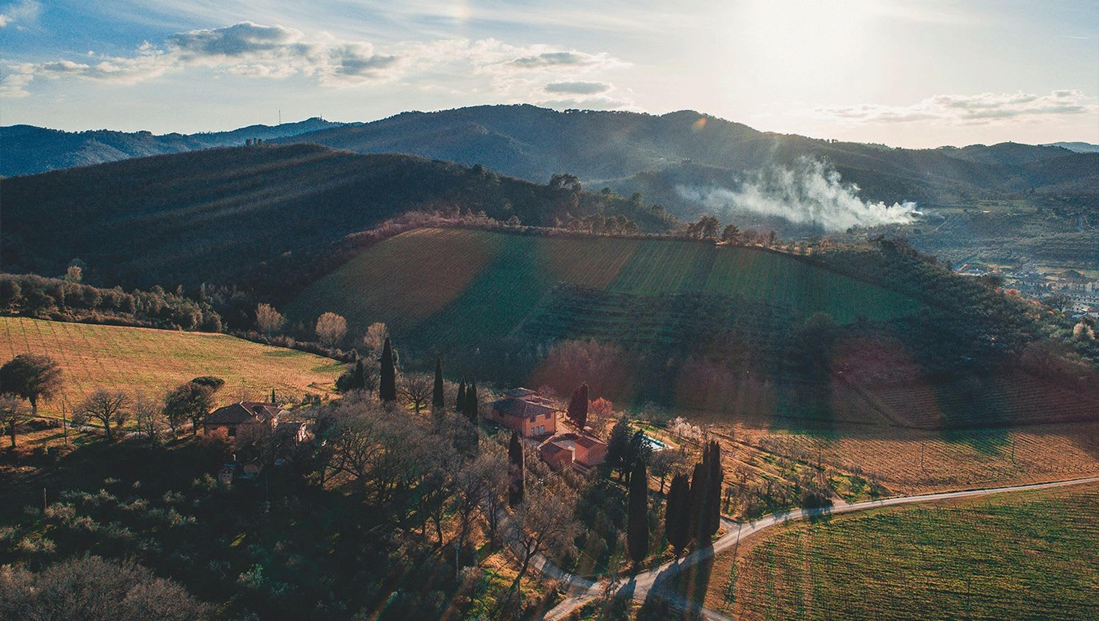 Tenuta Petrolo: A Treasure in the Heart of Tuscany
