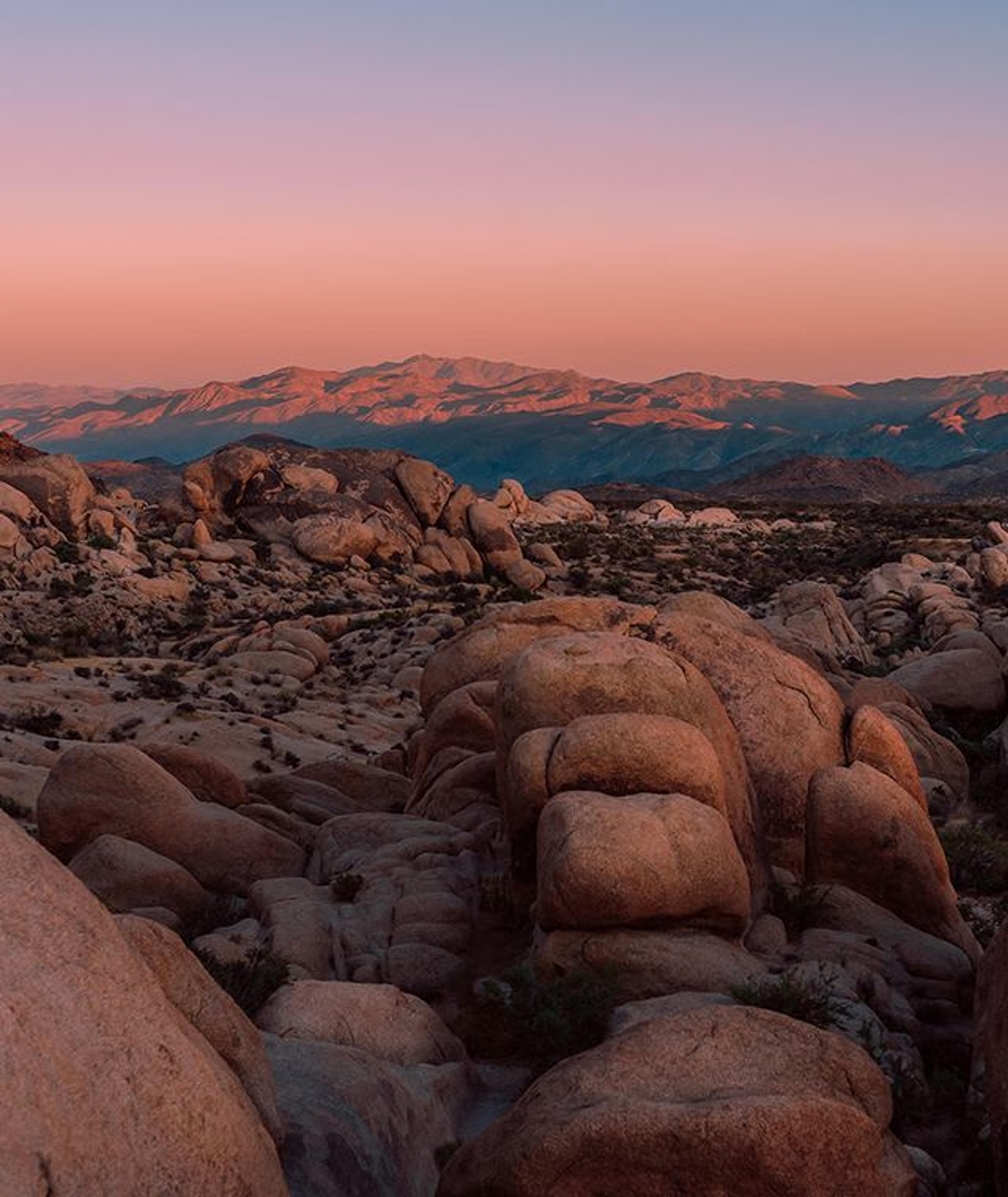Der Joshua Tree National Park