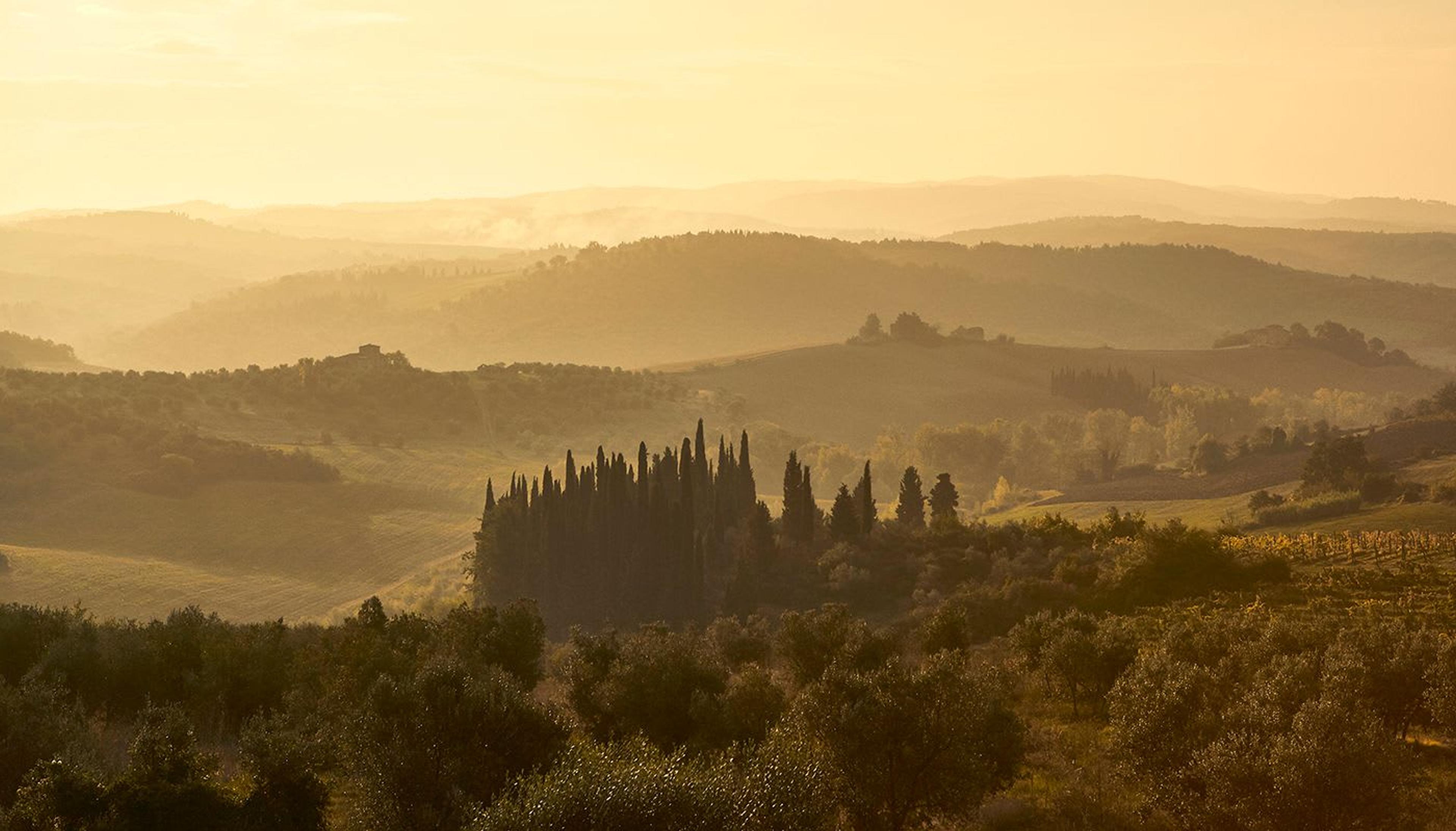In the Tuscan Countryside: COMO Castello del Nero