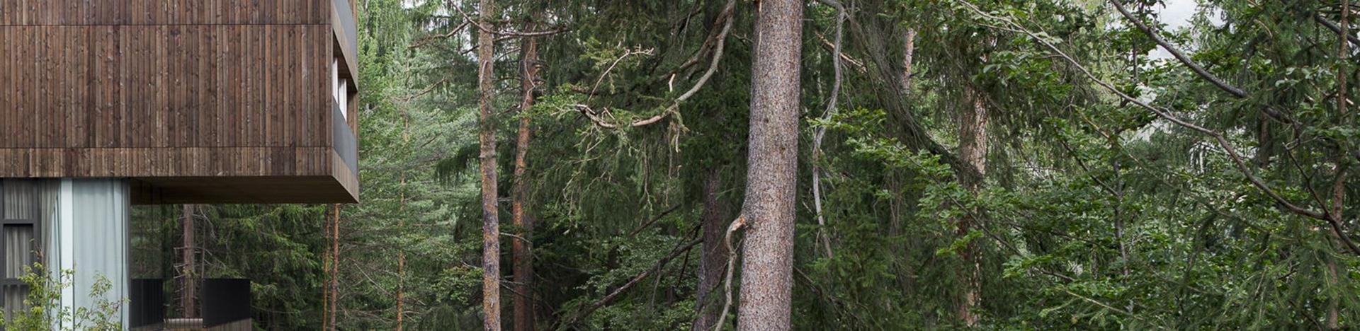 Eco Hotel Saltus: an Ode to Nature | Artemest