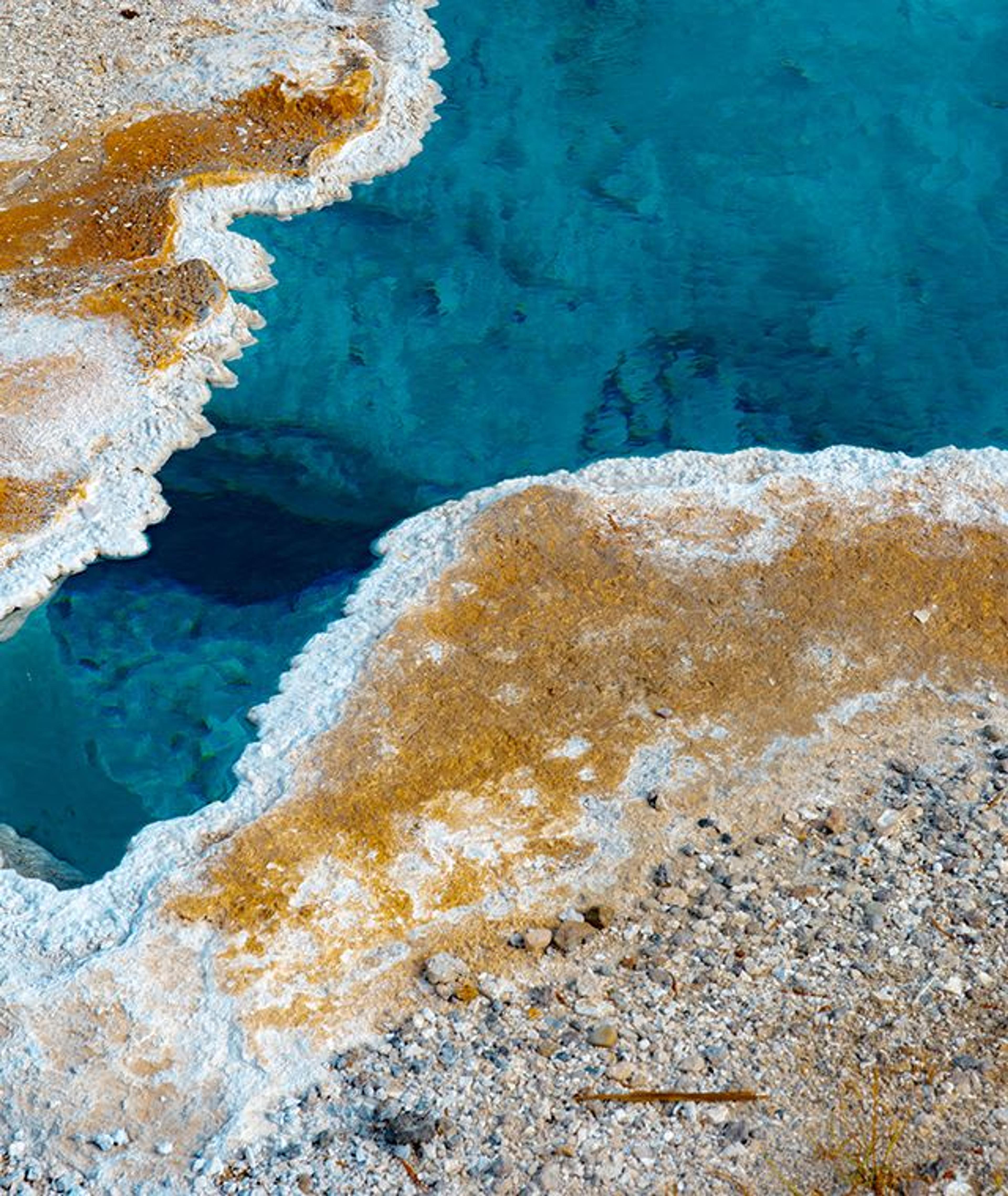 Fotografia di JD Andrews