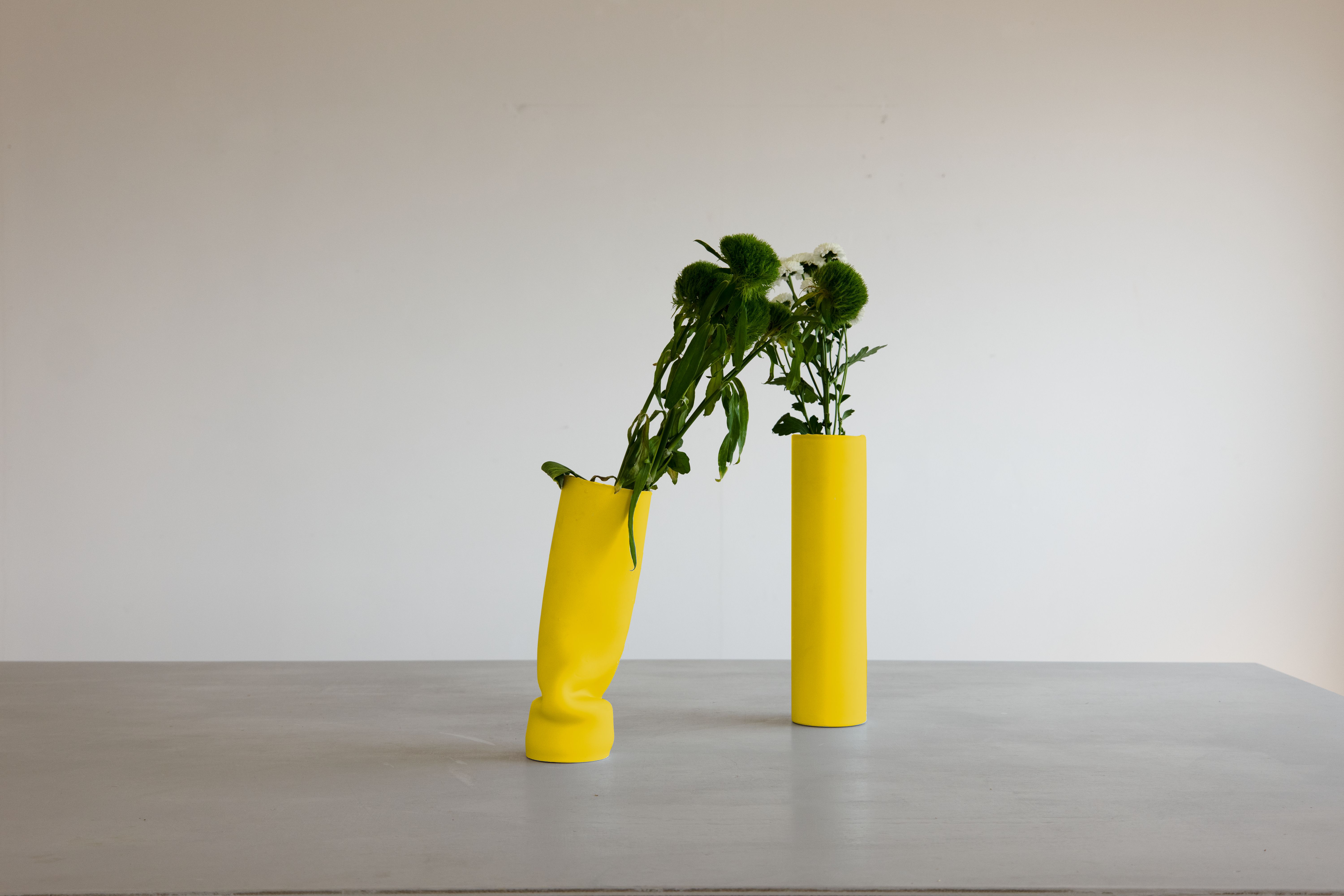 Jenna Basso Pietrobon