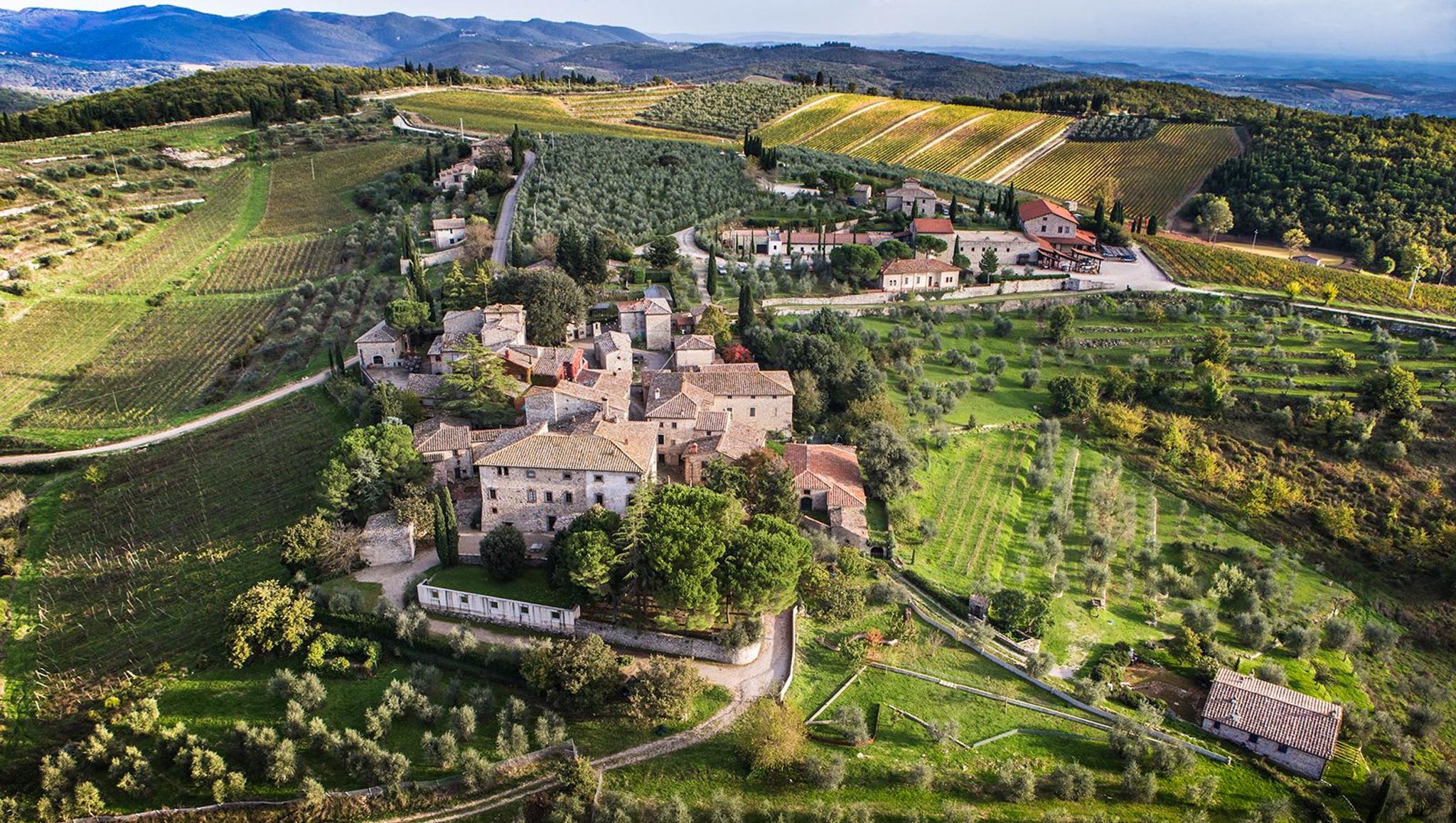Die Kunst des Weins bei Castello di Ama
