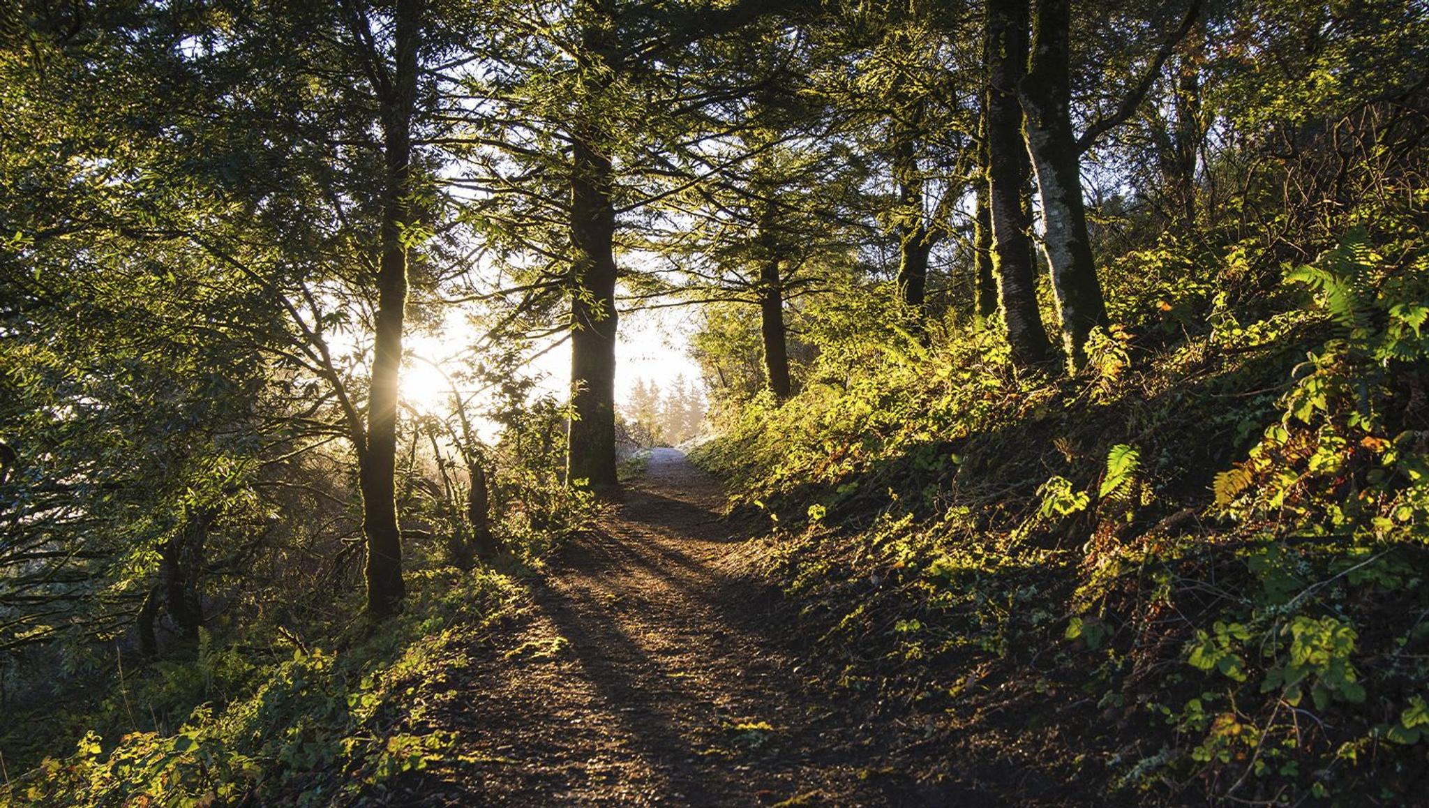 Pasión por la trufa
