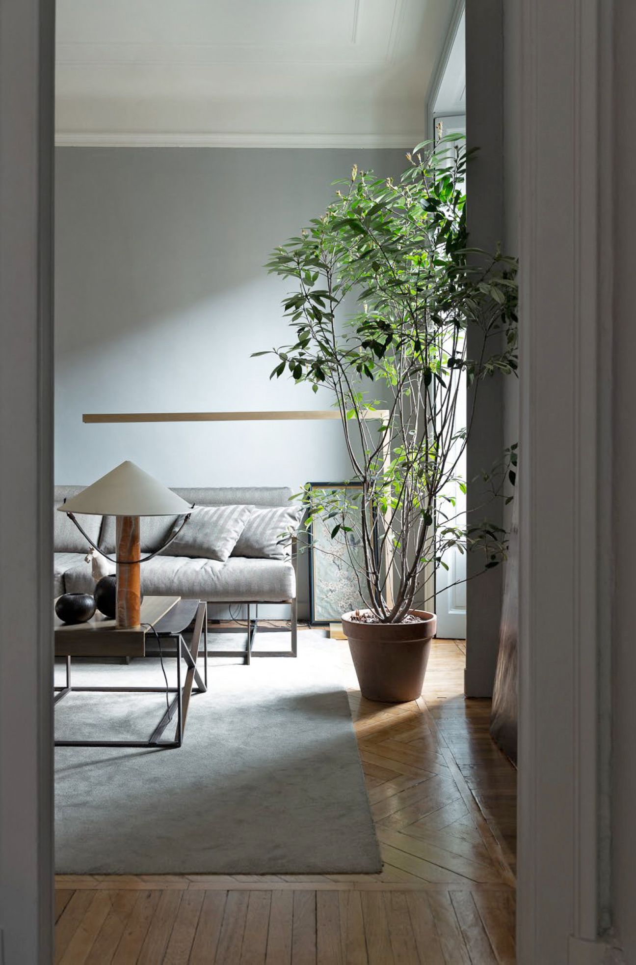 Revolution Archstudio