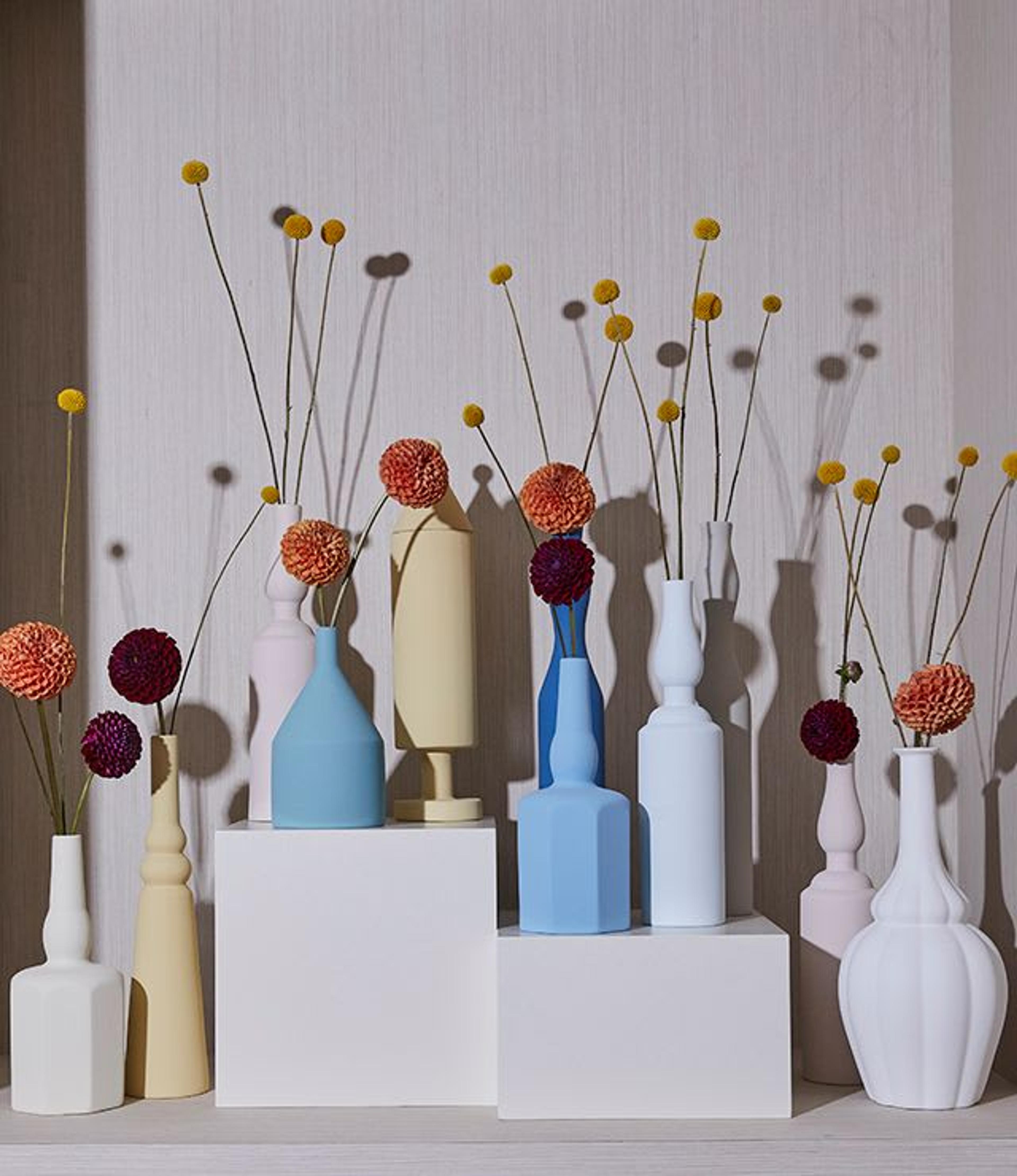 Foto di Genevieve Garruppo