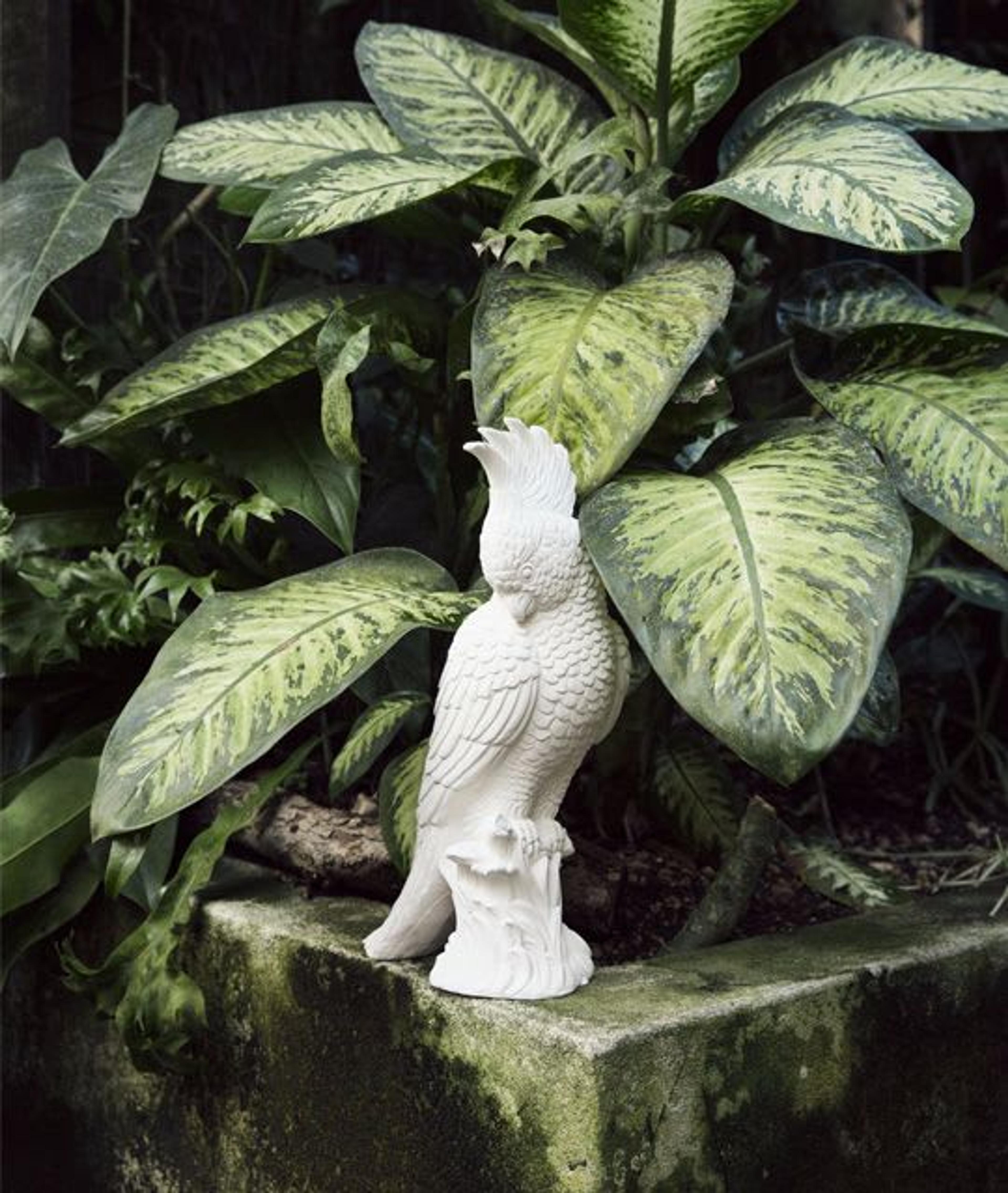Crested Ceramic Parrot by BottegaNove