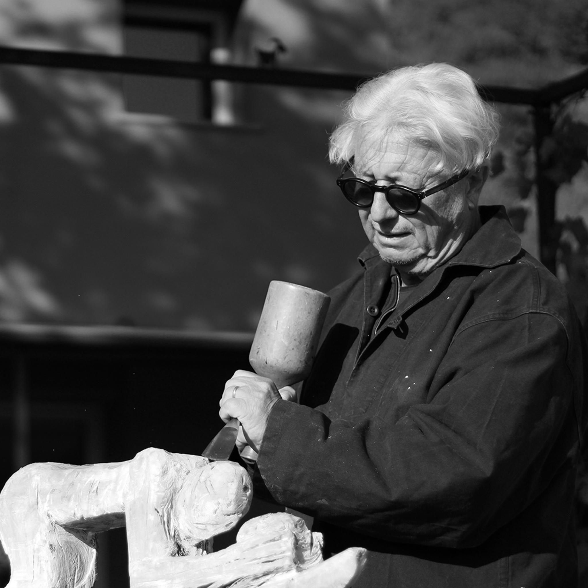 Hugo Schaer
