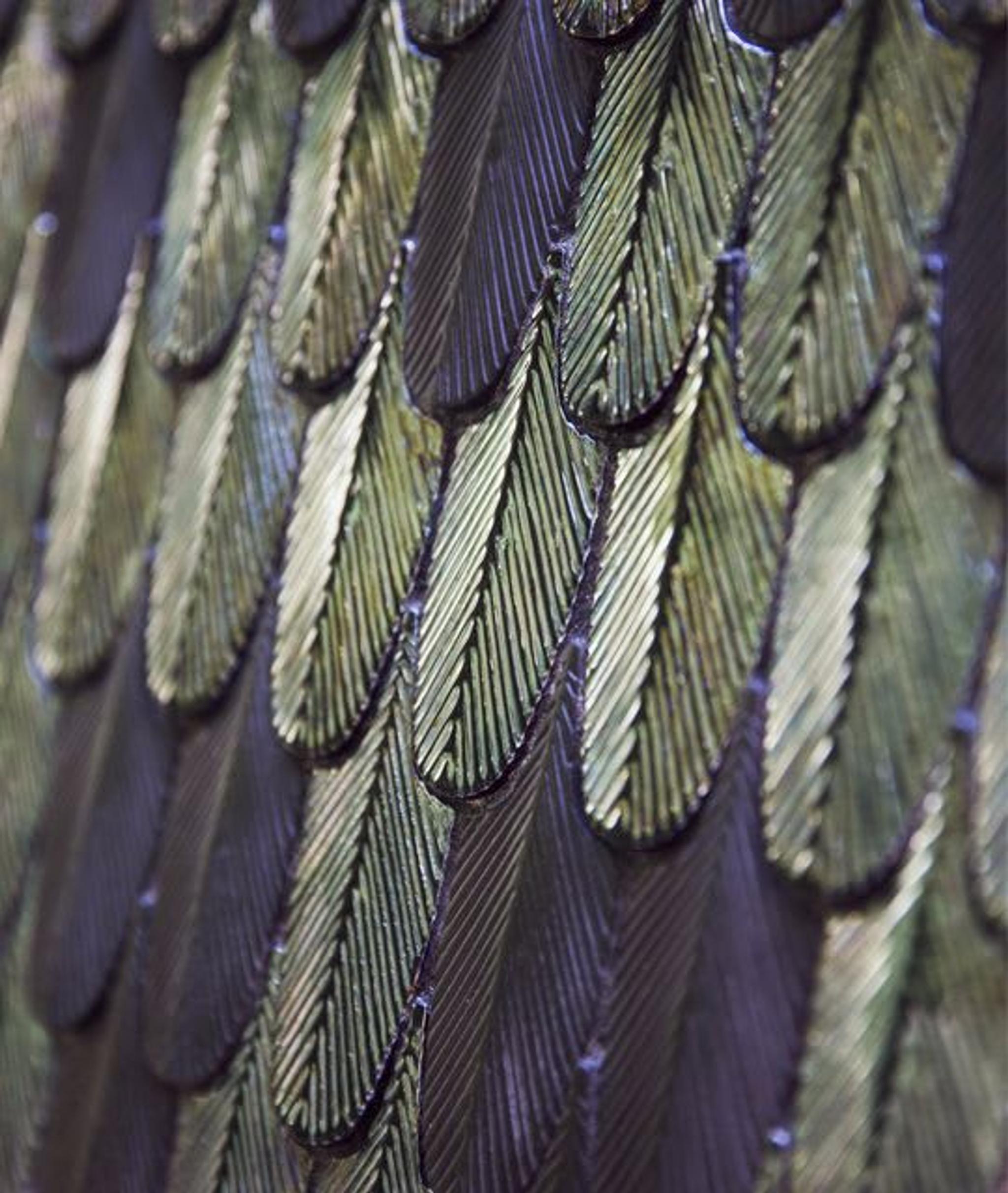 Details of the unique texture of BottegaNove's ceramic mosaics