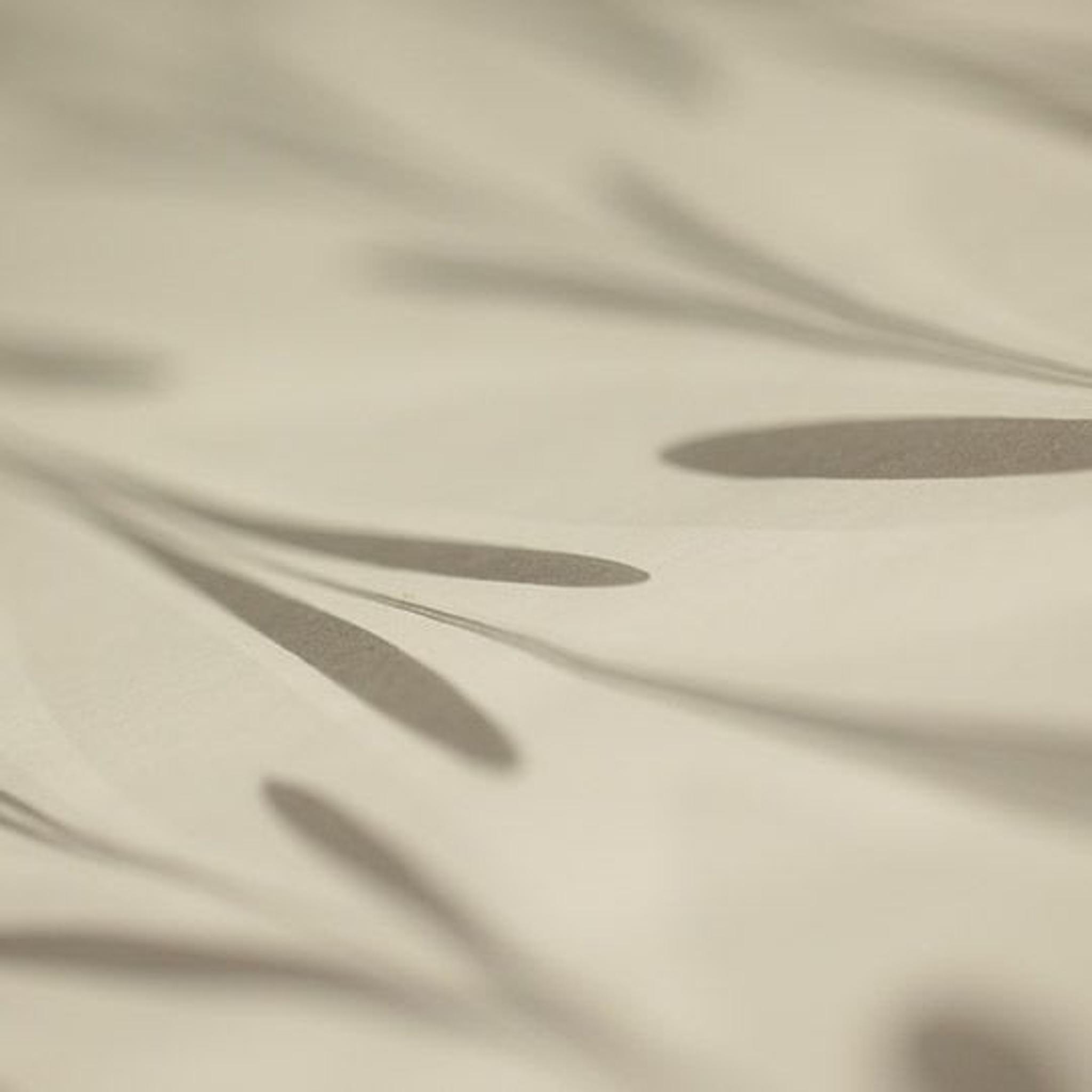 Marbled Paper - Credits Gil Gilbert