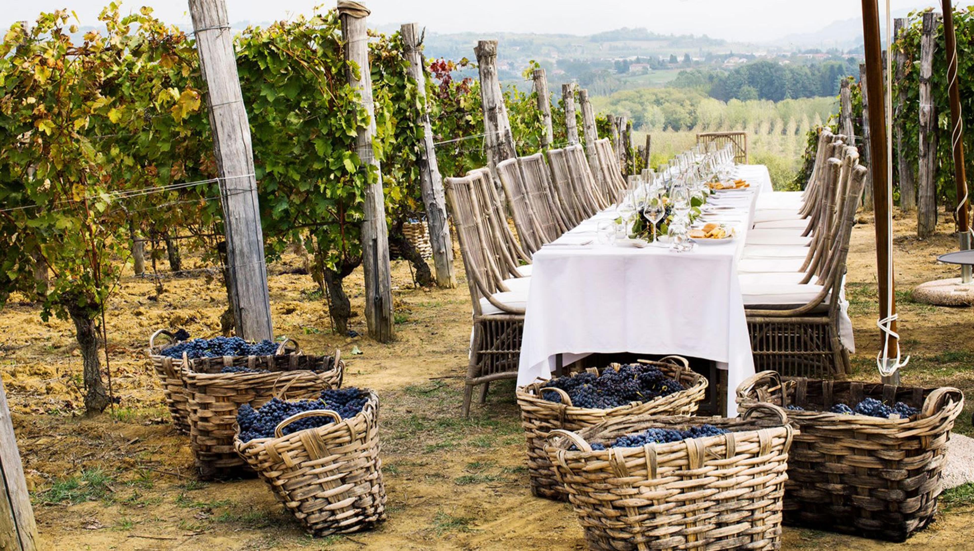 Villa La Madonna: Paradise in the Valley