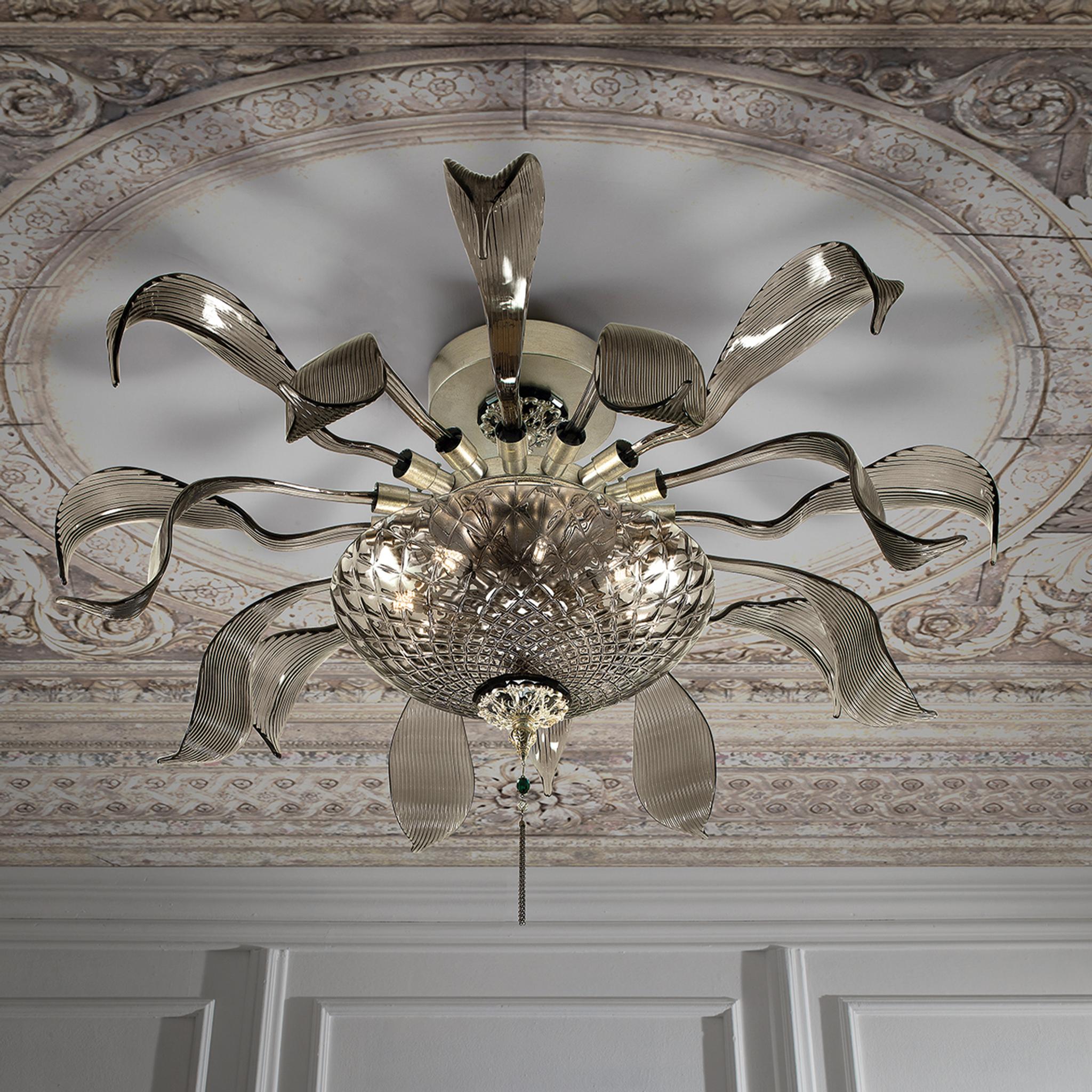 Ceiling Lamps