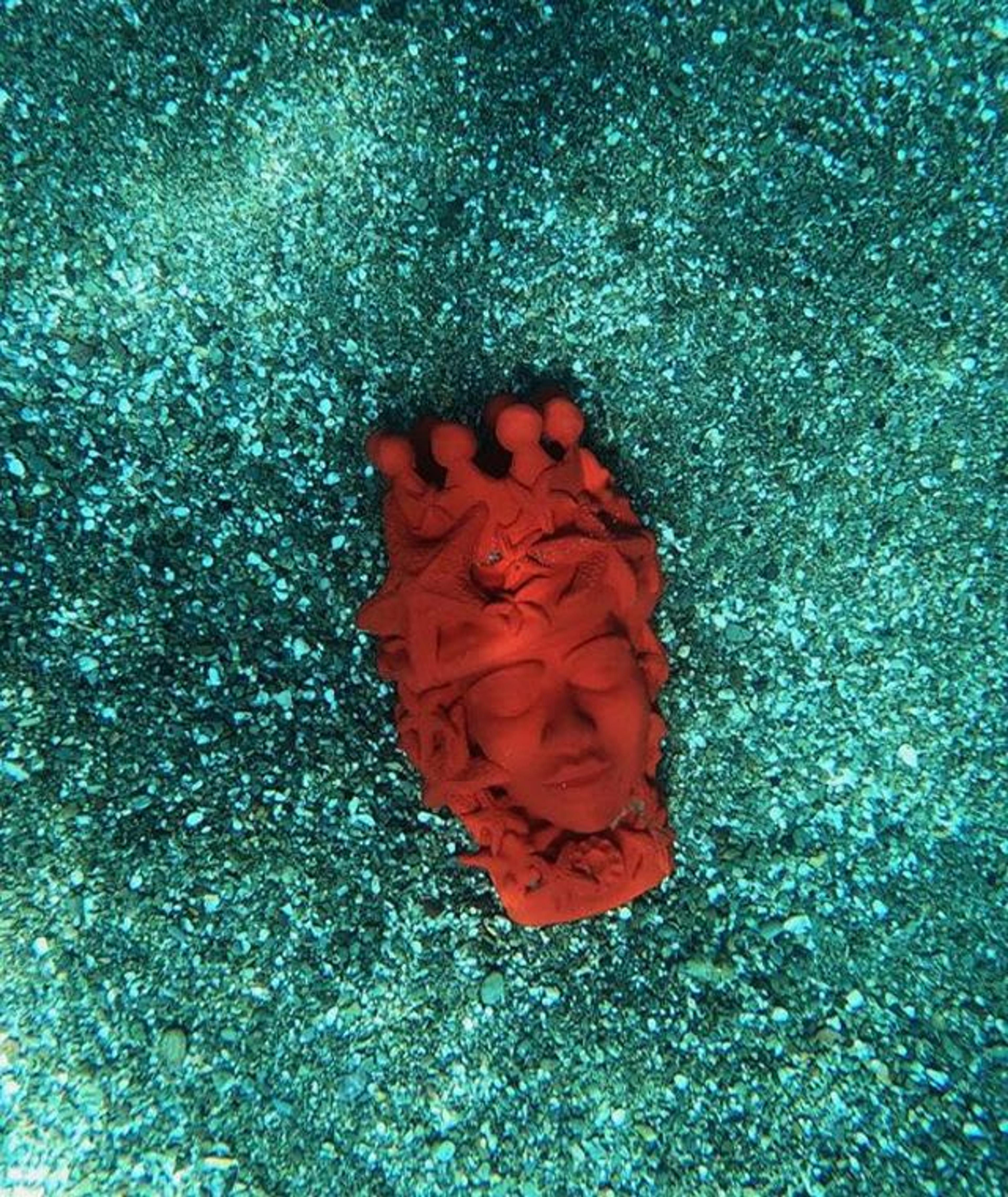 Testa di moro di Astrea, Ovo - Idee e Manufatti