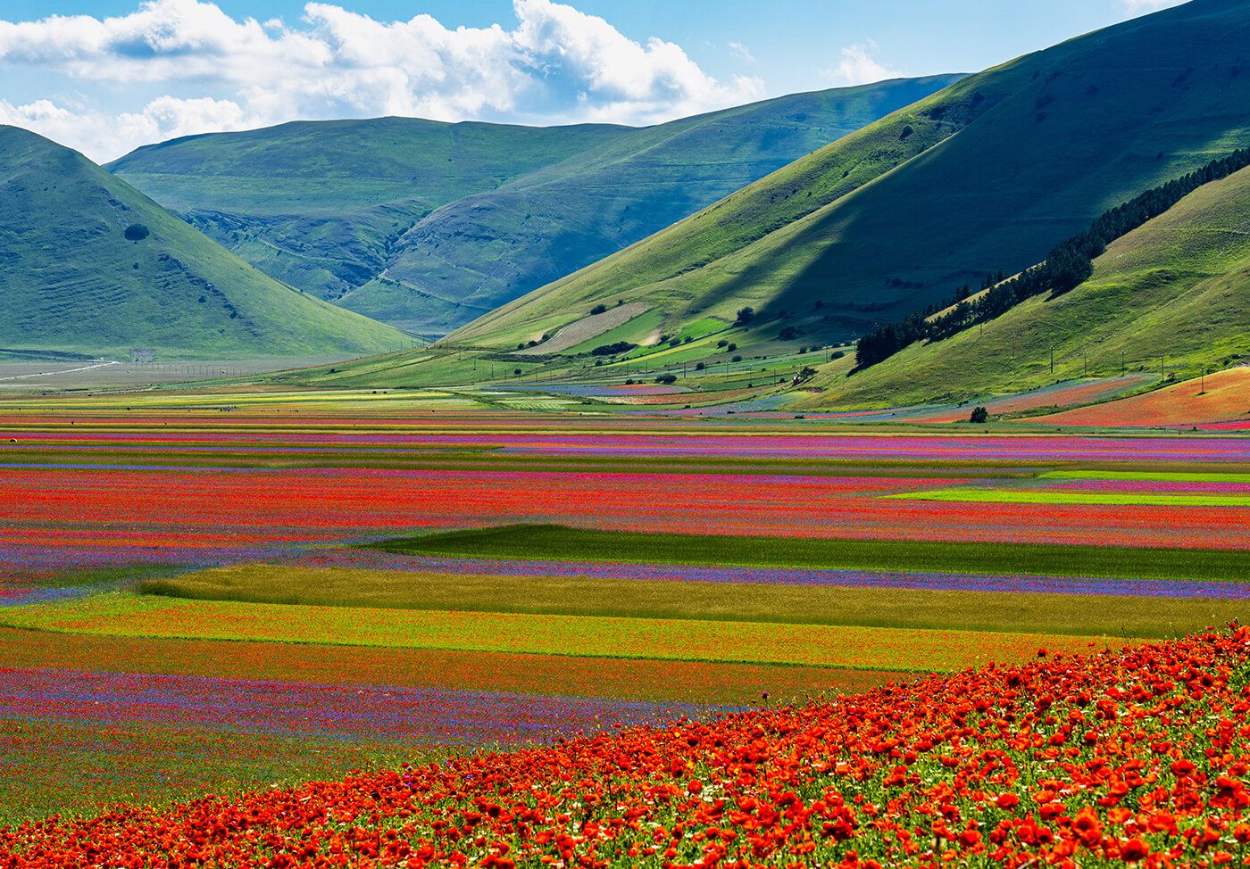 Plains of Castelluccio di Norcia