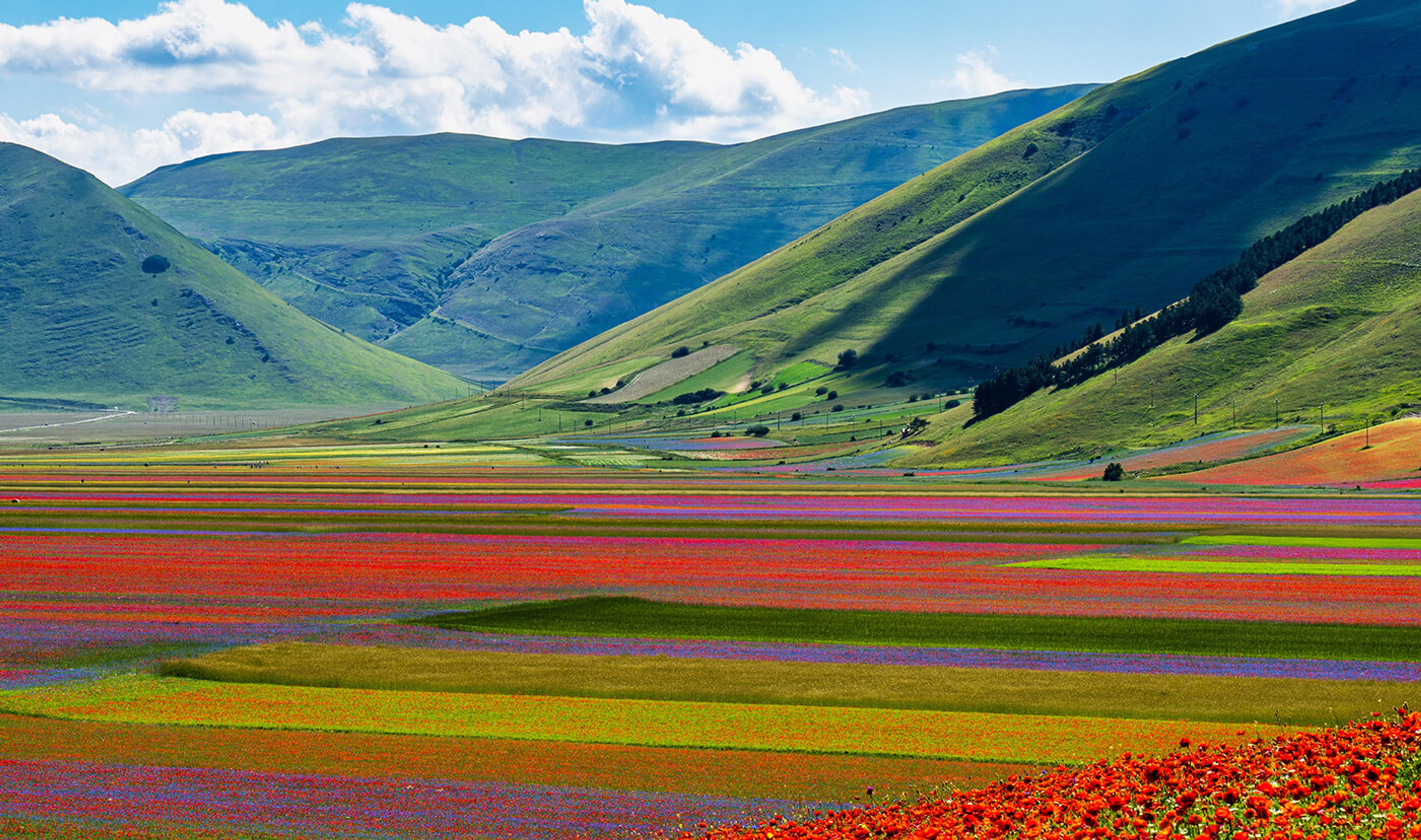 Plains of Castelluccio di Norcia