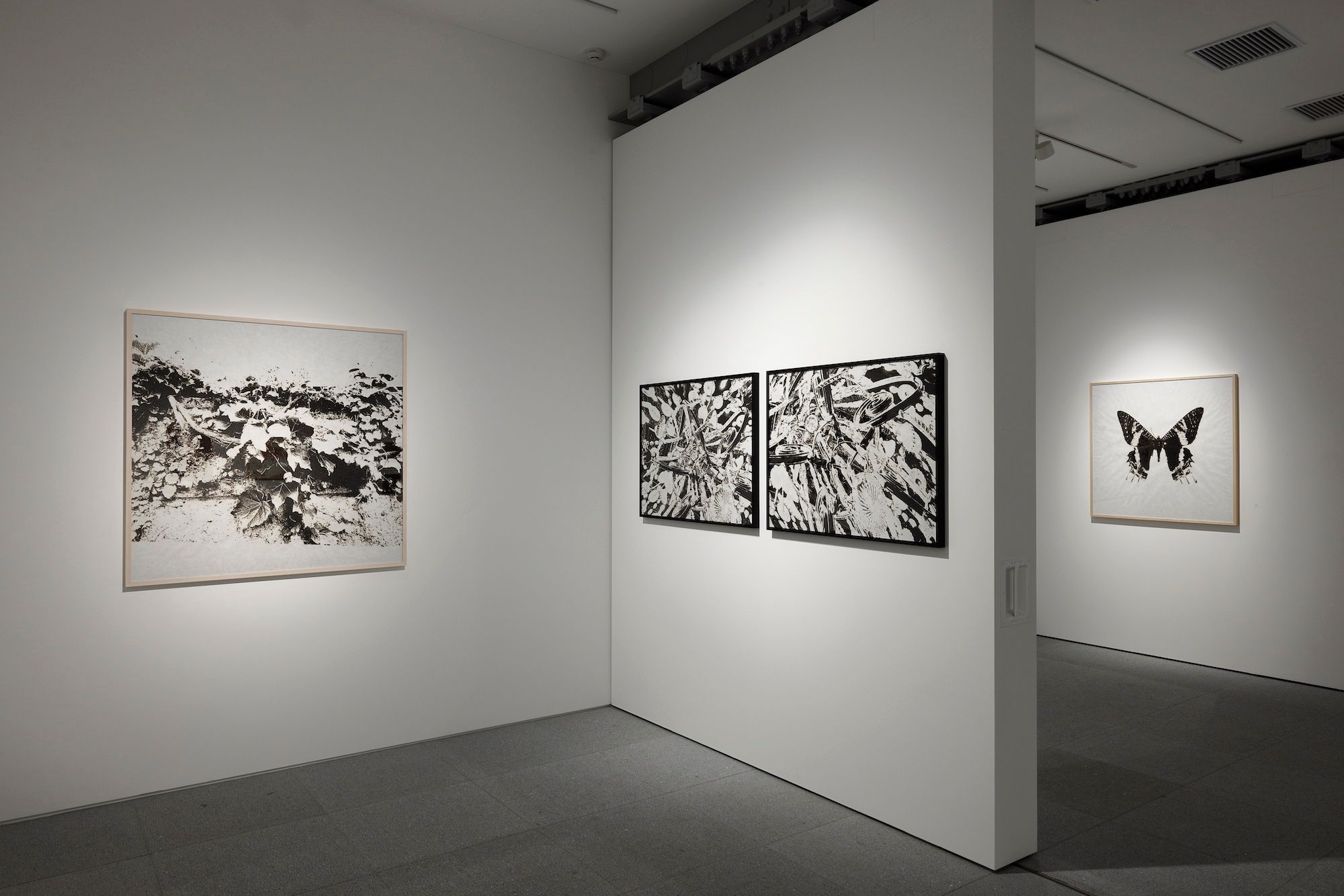 Kosuke Ichikawa | DELUSIONAL murmur (#003)