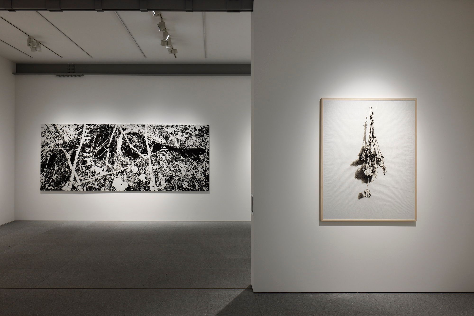 Kosuke Ichikawa | DELUSIONAL murmur (#003)