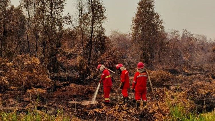 Ketika Hutan Menjadi Bara: Kabut Asap dan Luka yang Melintasi Batas Negeri