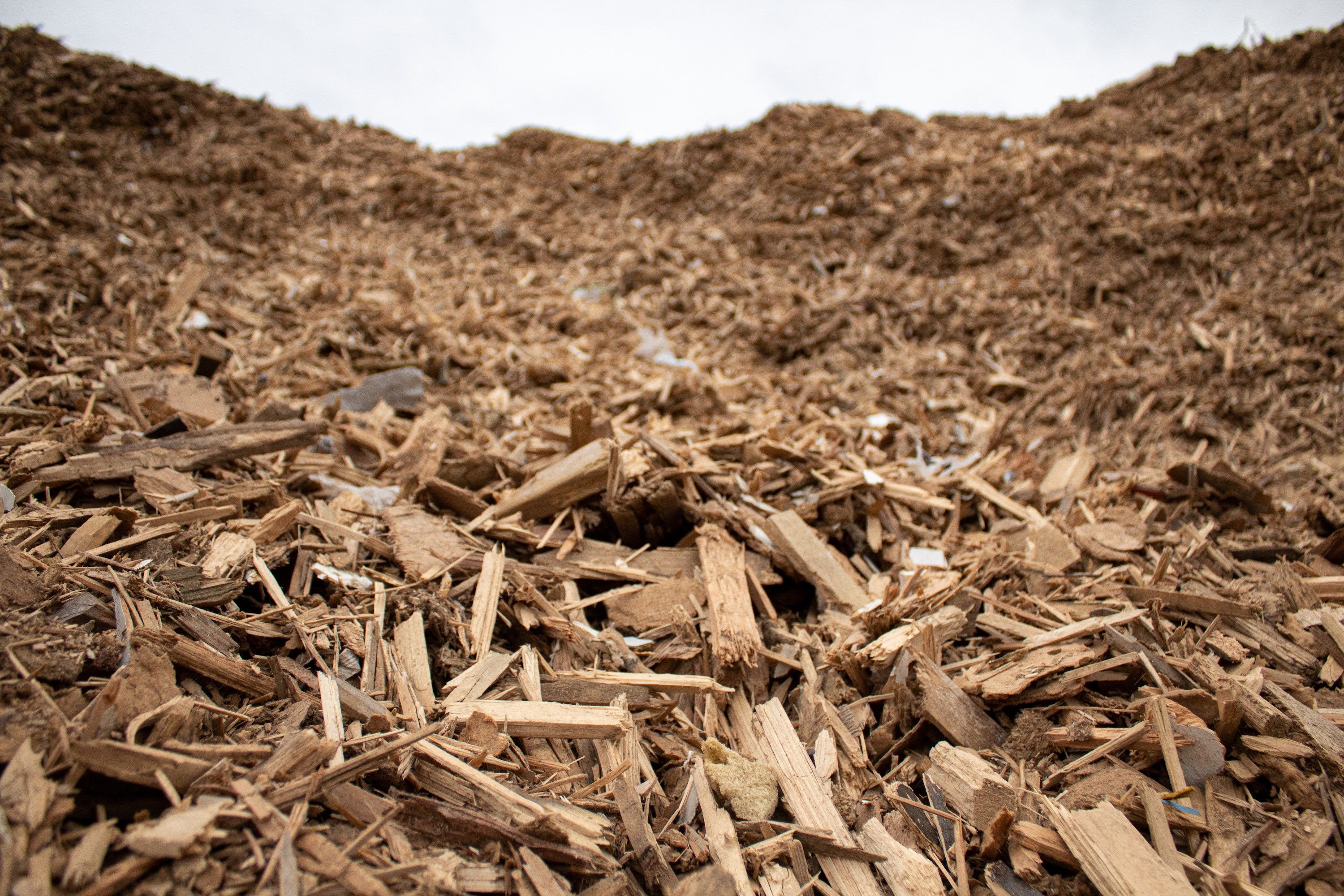 Illustrasjonsbilde Geminor