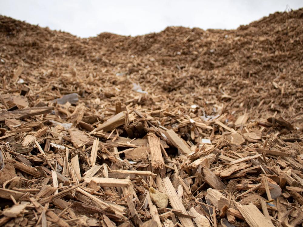 Illustrasjonsbilde Geminor