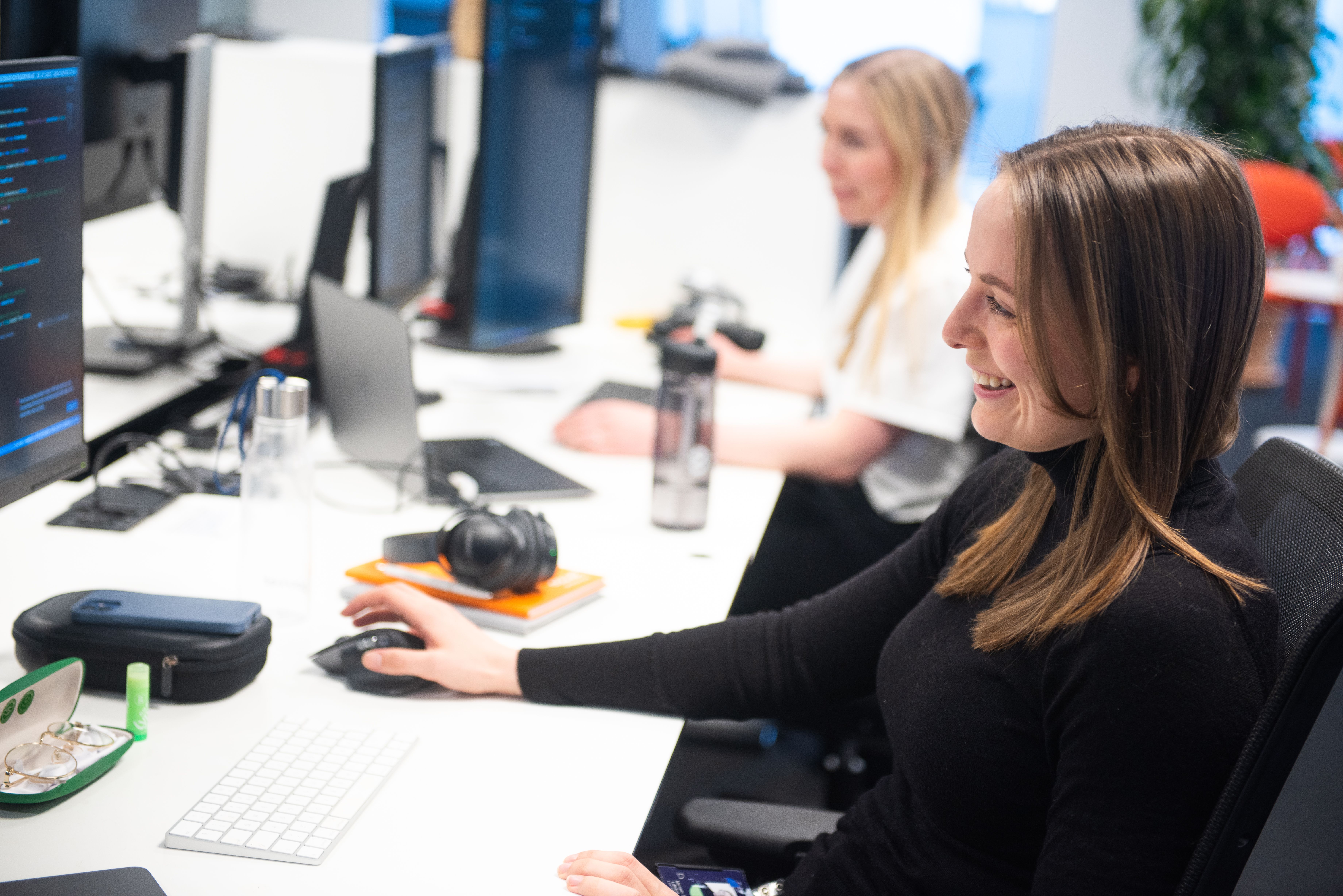 Illustrasjonsbilde Bouvet