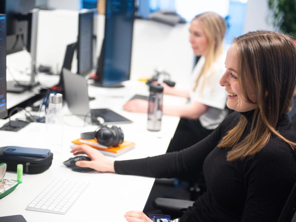 Illustrasjonsbilde Bouvet