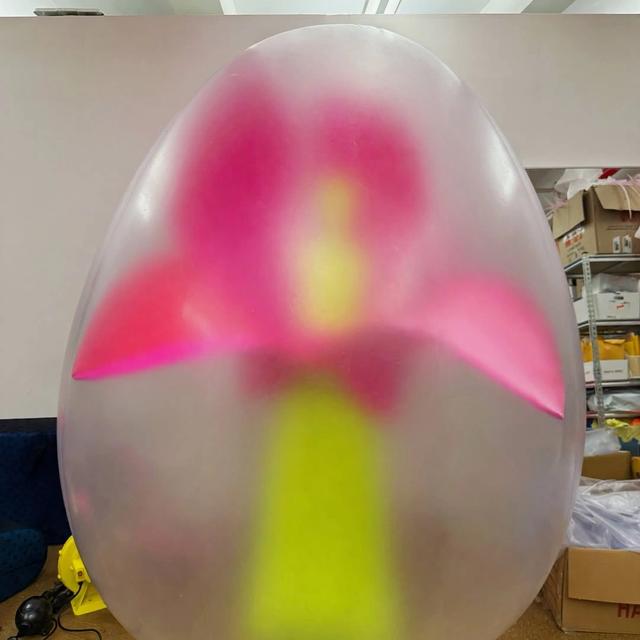 Inflatable Flower