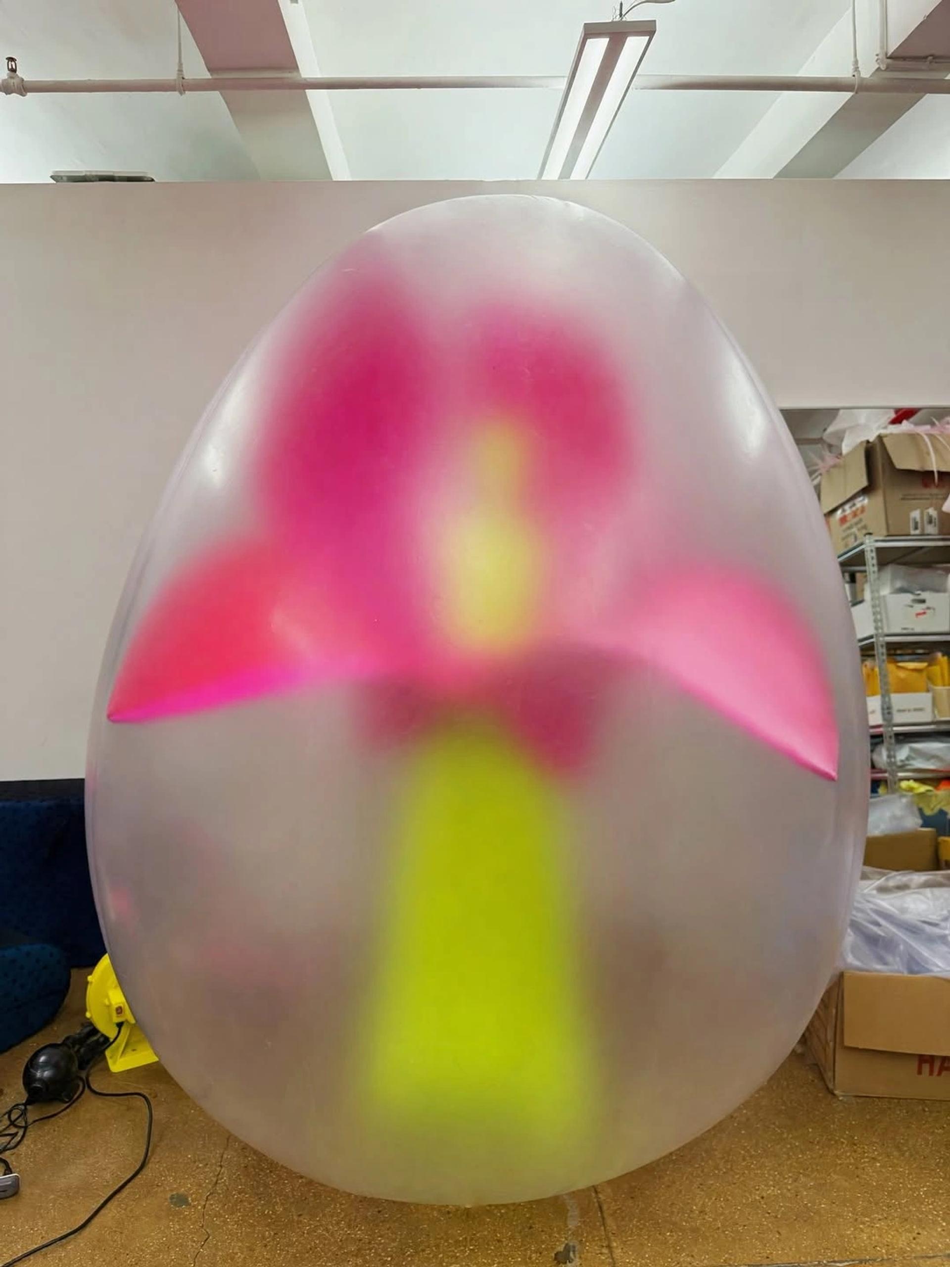 Inflatable Flower