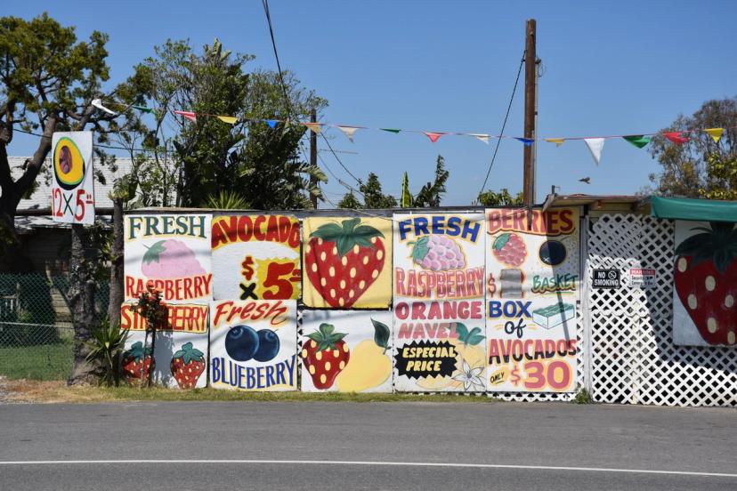 Hand-Painted Signs
