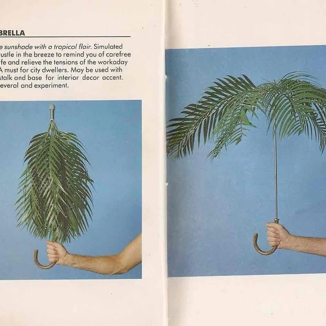 Palmbrella